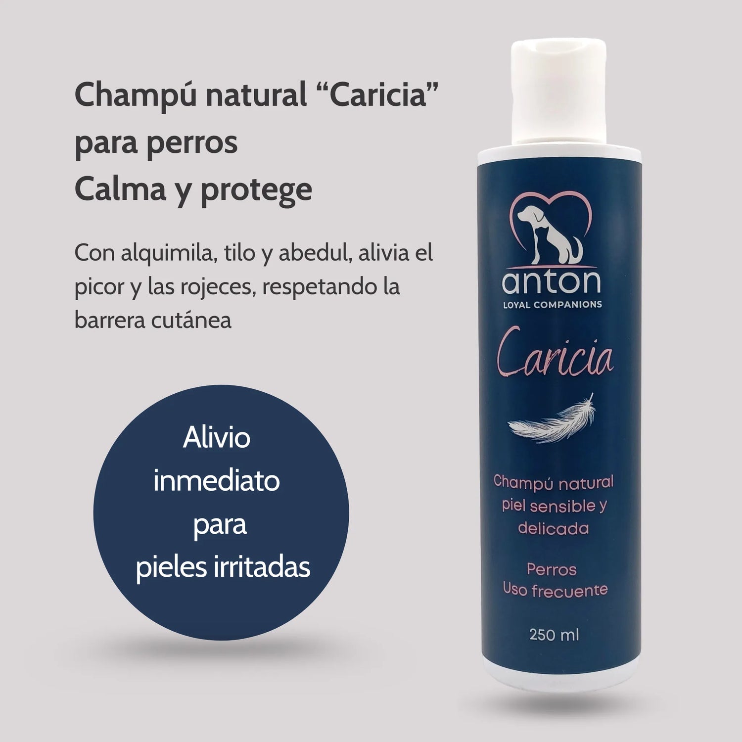 El champú natural para perros piel sensible Caricia de ANTON Loyal Companions ha sido formulado para limpiar con suavidad, calmar la irritación y proteger la piel más delicada