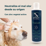 Perro siendo bañado con el champú ANTON Frescura, fórmula con zinc vegetal activo para neutralizar olores.