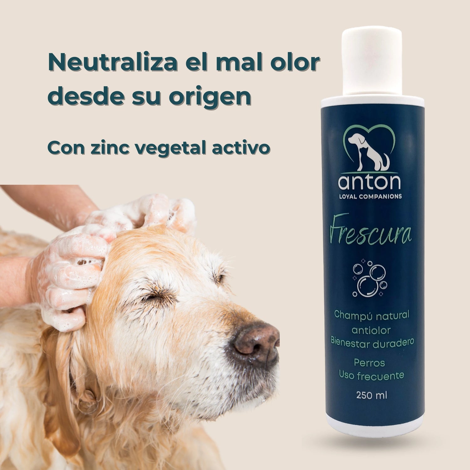 Perro siendo bañado con el champú ANTON Frescura, fórmula con zinc vegetal activo para neutralizar olores.