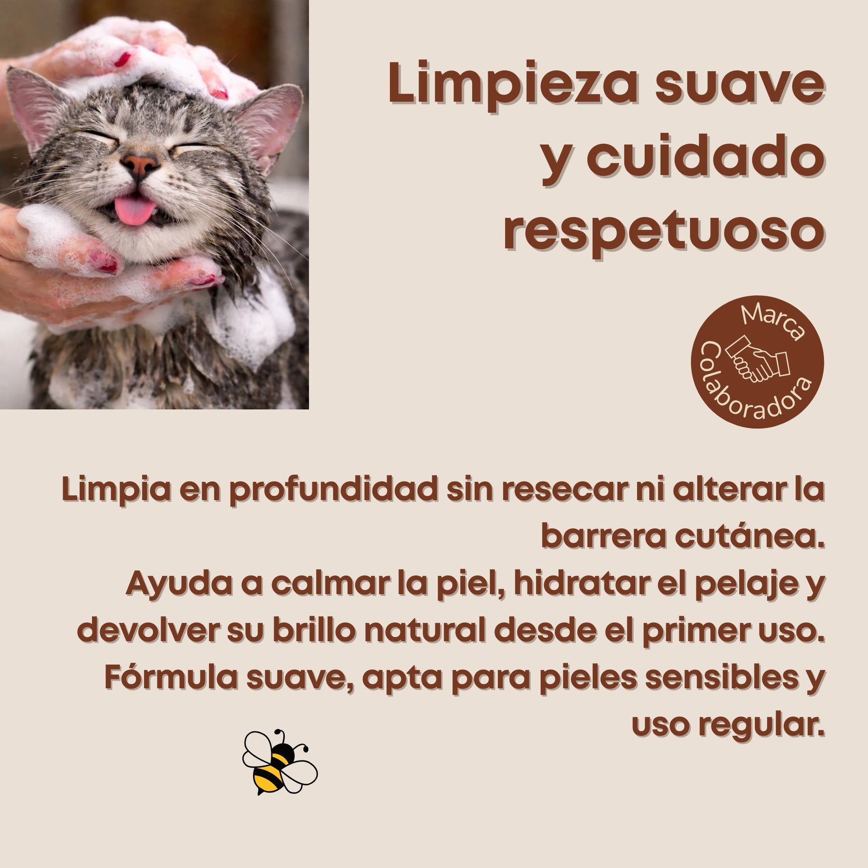 Baño de gato con champú natural Pet Save the Bees de Bee It, limpieza suave y cuidado respetuoso que ayuda a calmar la piel, hidratar el pelaje y mantener el brillo natural, apto para pieles sensibles.