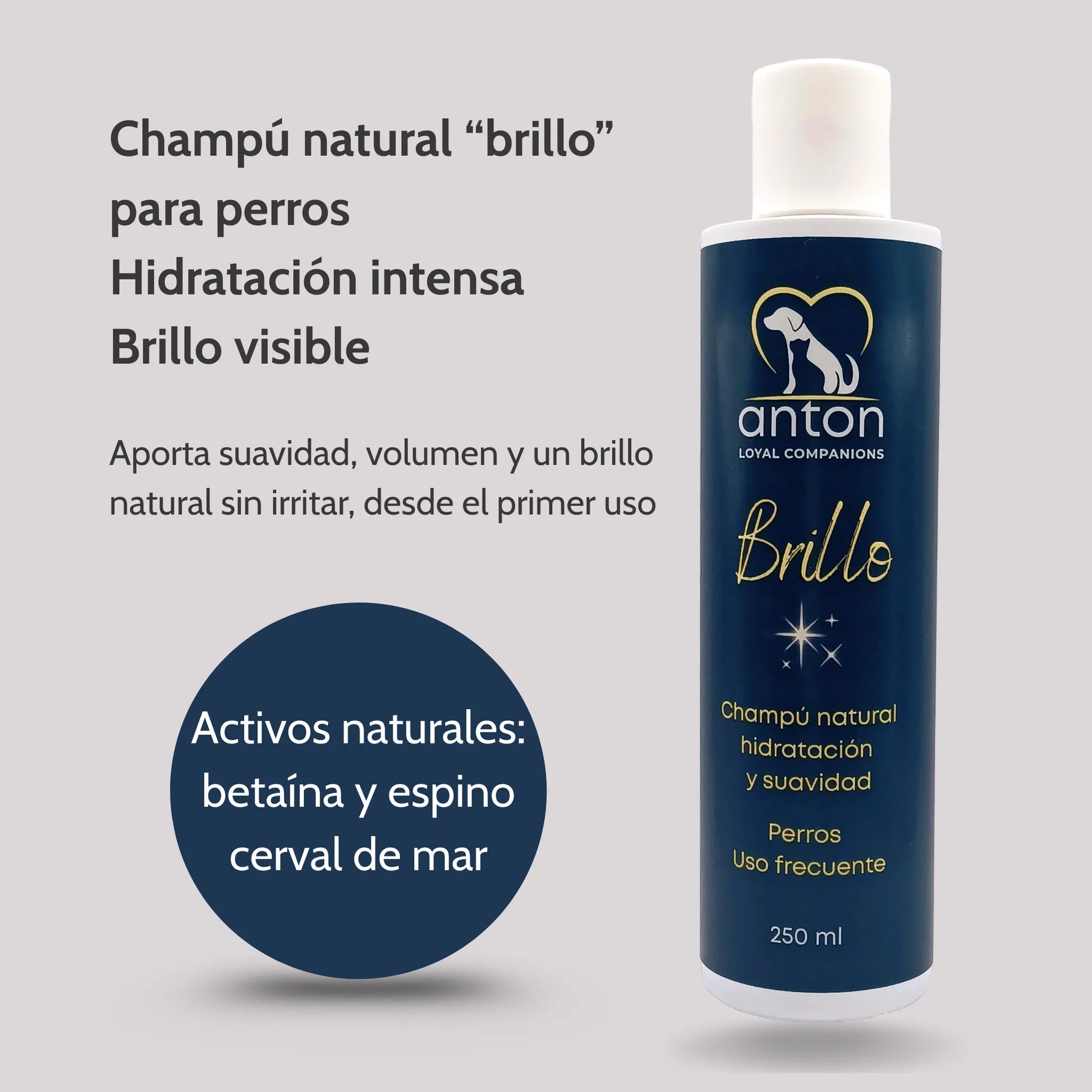 Champú natural ANTON brillo para perros con betaina y espino cerval de mar, hidratación y volumen