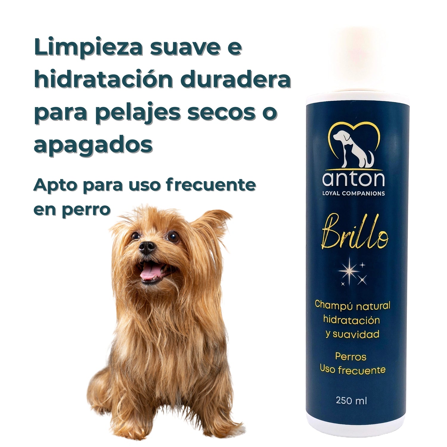 Champú Natural para Perros “Brillo” – Hidratación y Suavidad - 250ml_Anton Loyal Companions