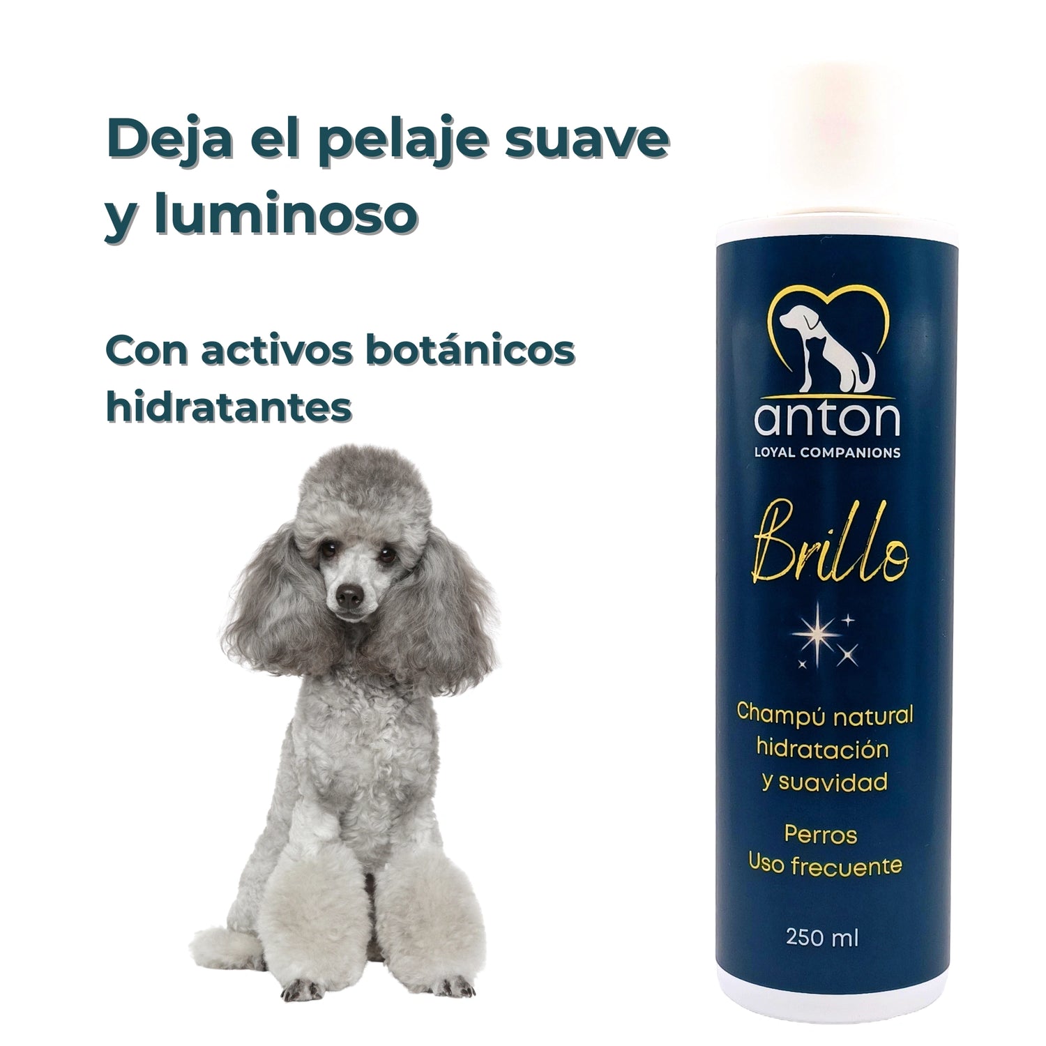 Champú Natural para Perros “Brillo” – Hidratación y Suavidad - 250ml_Anton Loyal Companions