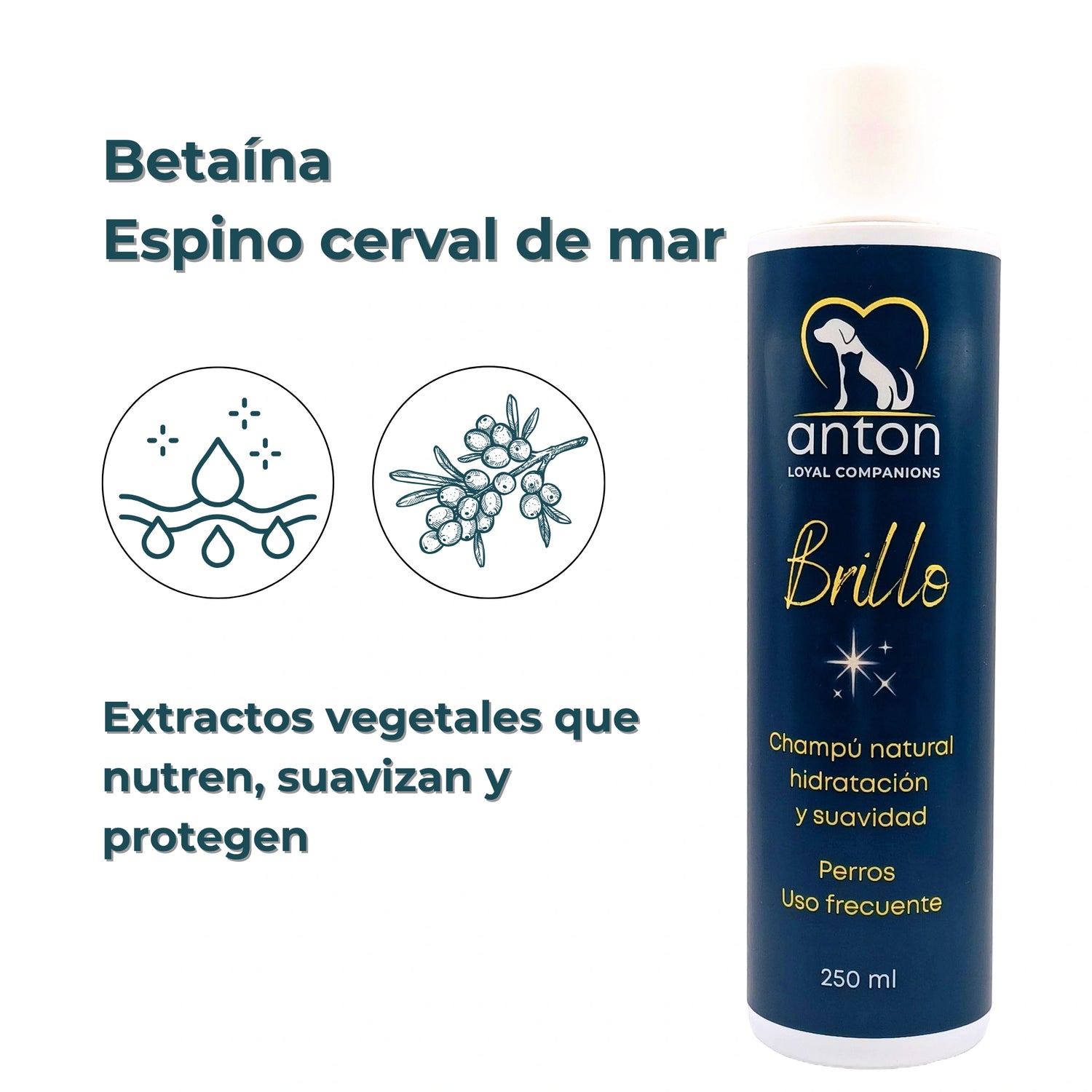 Champú Natural para Perros “Brillo” – Hidratación y Suavidad - 250ml_Anton Loyal Companions