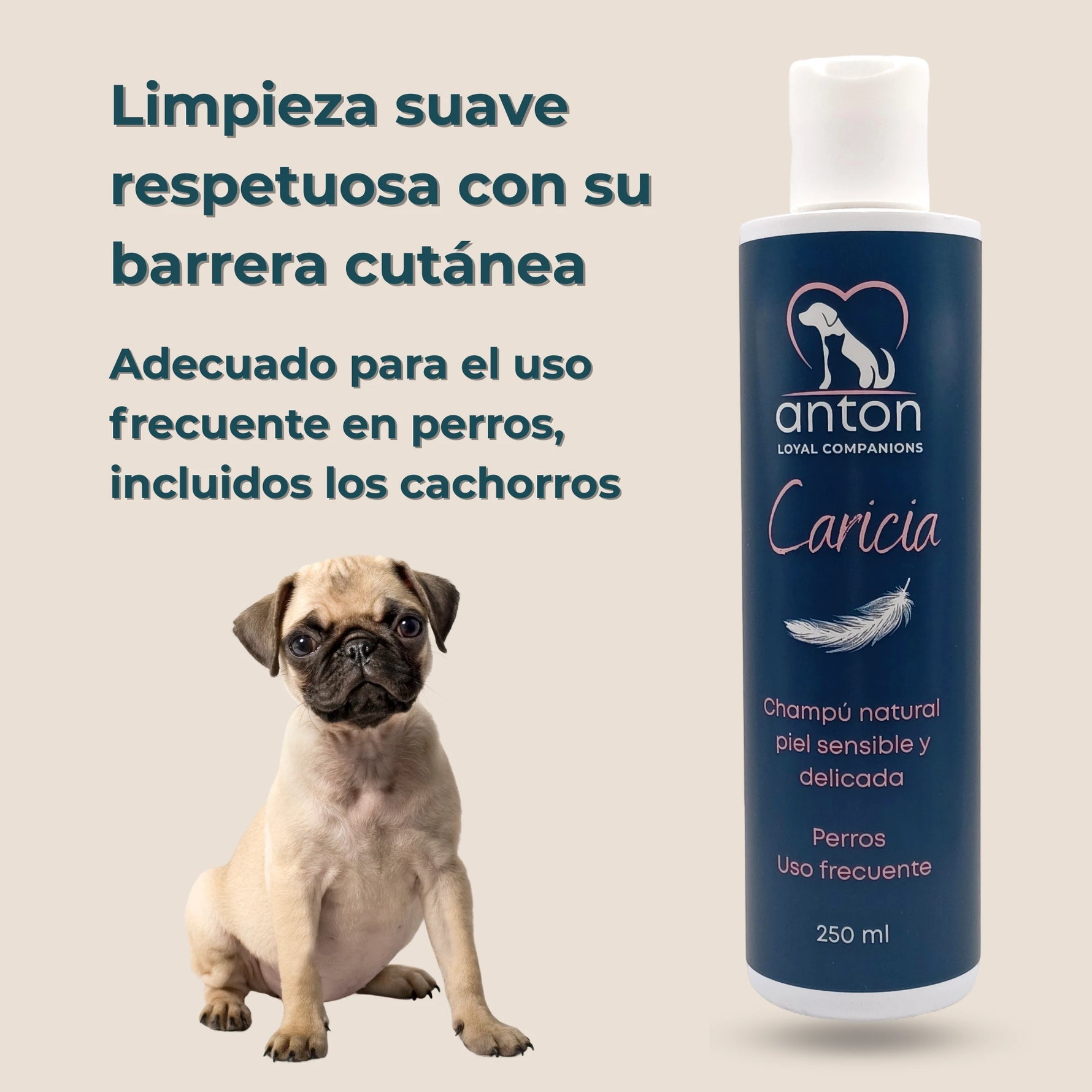 Perro cachorro junto al Champú natural Caricia ANTON Loyal Companions – limpieza suave piel sensible