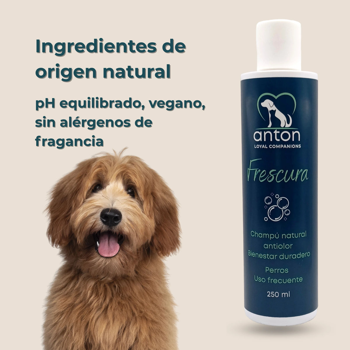 Perro de pelo rizado junto al champú ANTON Loyal Companions Frescura, pH equilibrado, vegano y sin alérgenos de fragancia.