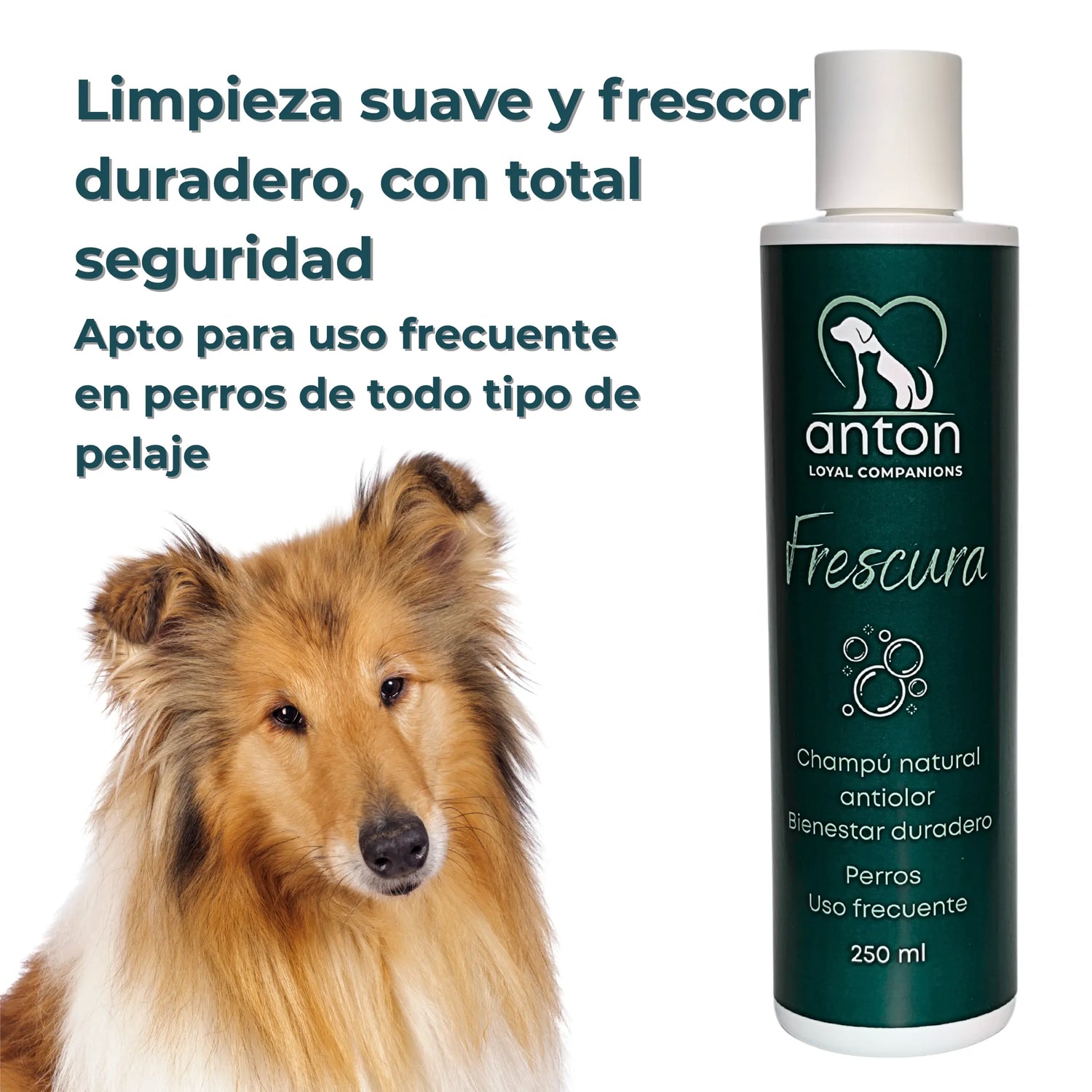 Perro de pelo largo junto al champú “Frescura” ANTON, ideal para uso frecuente