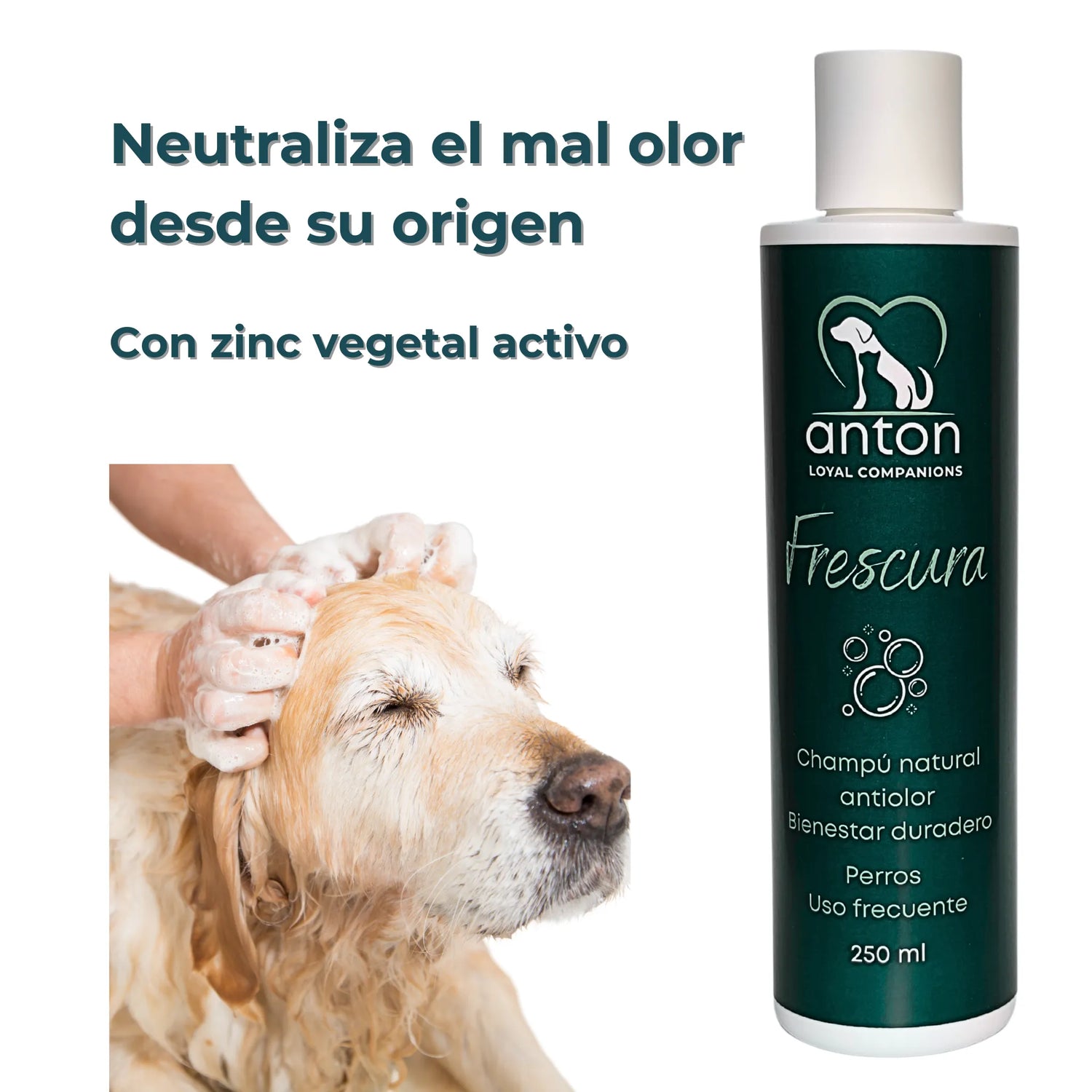Lavado de perro con champú “Frescura” ANTON – neutraliza el mal olor desde su origen