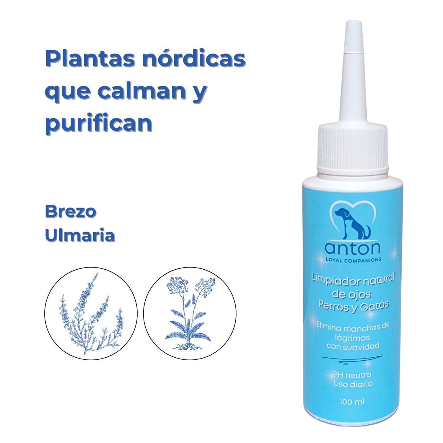 Brezo y ulmaria, plantas calmantes del limpiador ocular natural ANTON