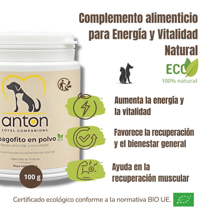 Complemento ideal para perros y gatos activos o en recuperación. Estimula la energía, apoya el bienestar general y contribuye a la recuperación muscular. Producto certificado BIO, 100 % natural.