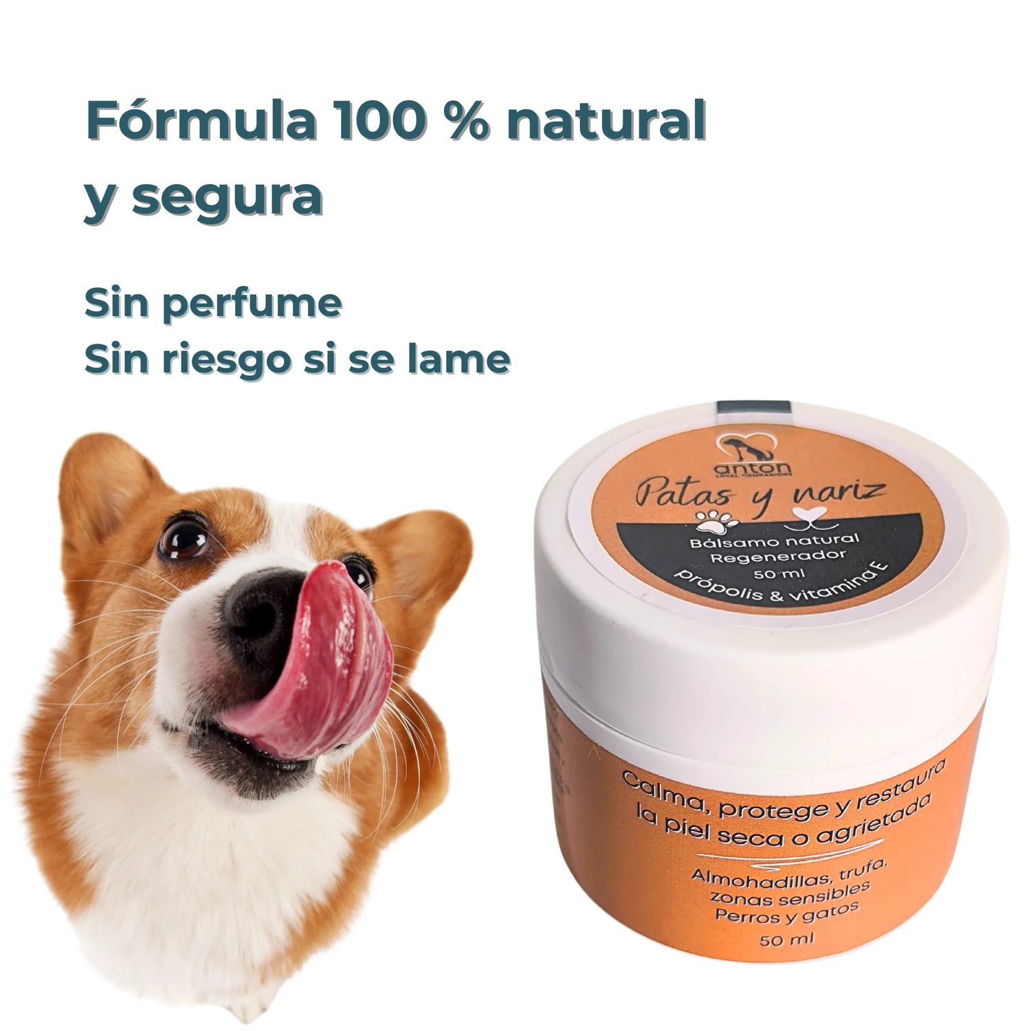 Perro lamiéndose la trufa junto al bálsamo ANTON Patas y Nariz, sin perfume ni ingredientes tóxicos