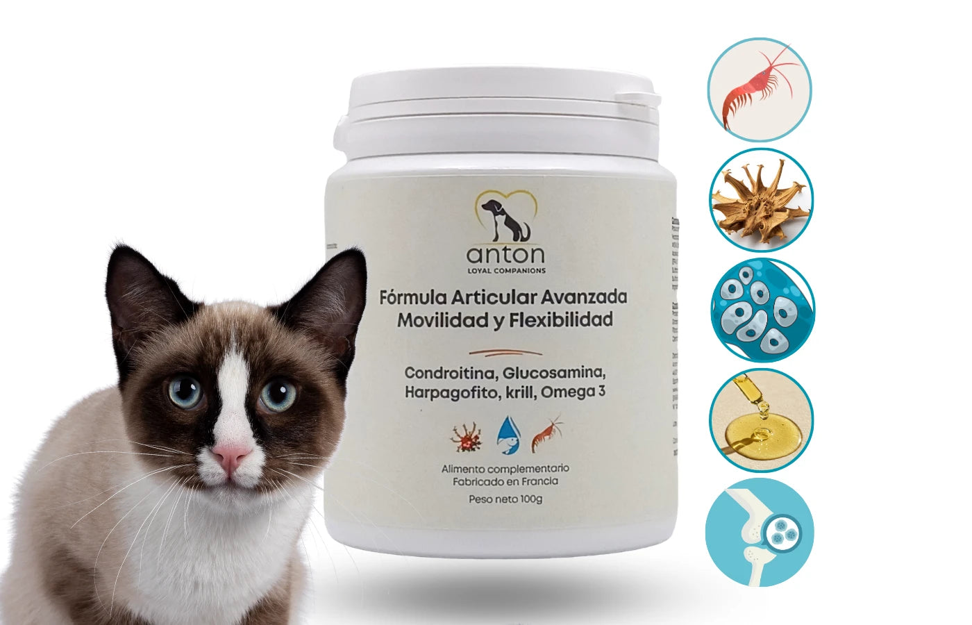 Fórmula articular avanzada para perros y gatos, suplemento natural con condroitina, glucosamina, MSM, harpagofito y Omega-3 para movilidad y flexibilidad
