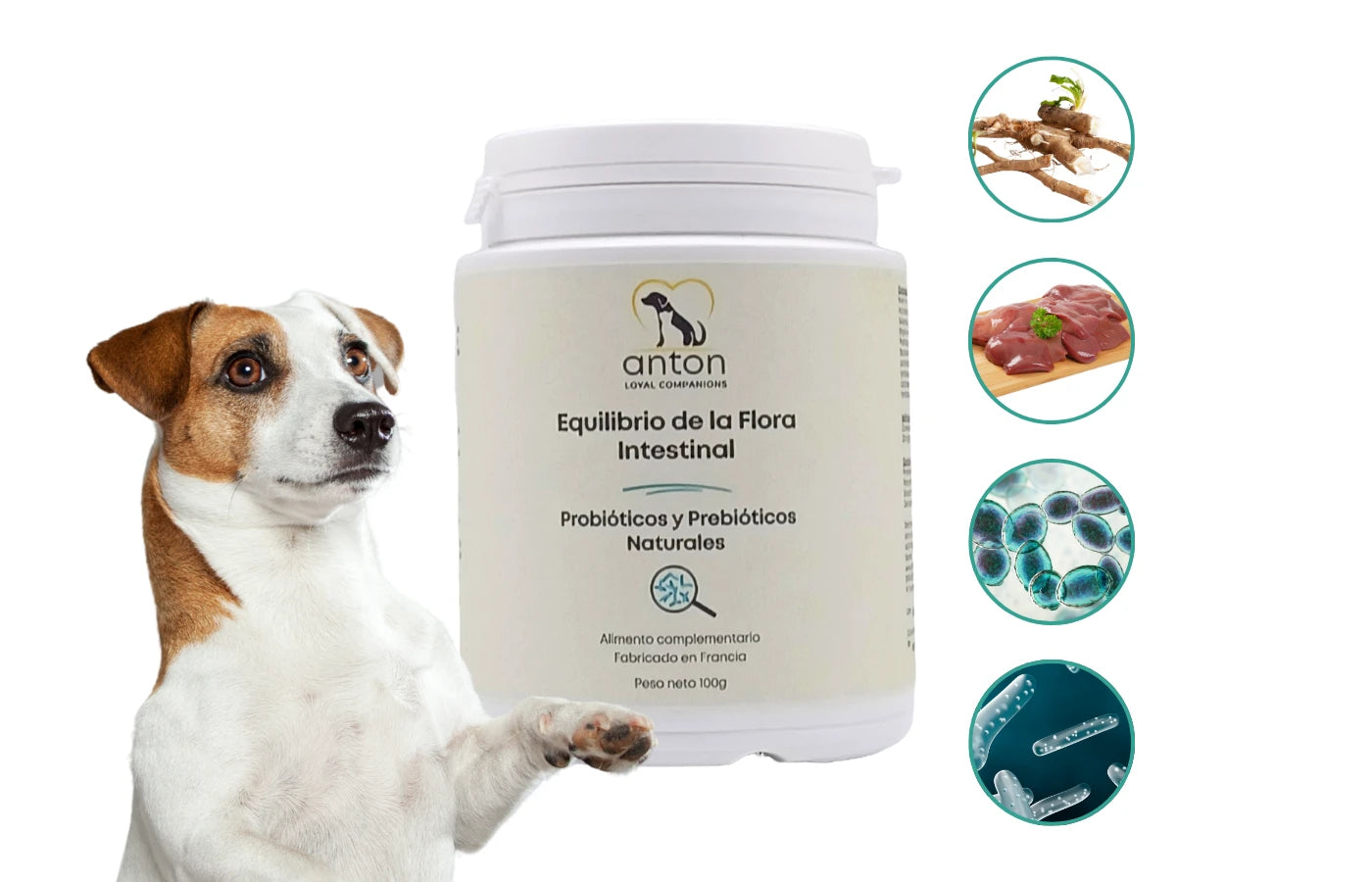 Flora intestinal con probióticos, prebióticos y postbióticos para perros y gatos, apoyo a defensas, energía y vitalidad