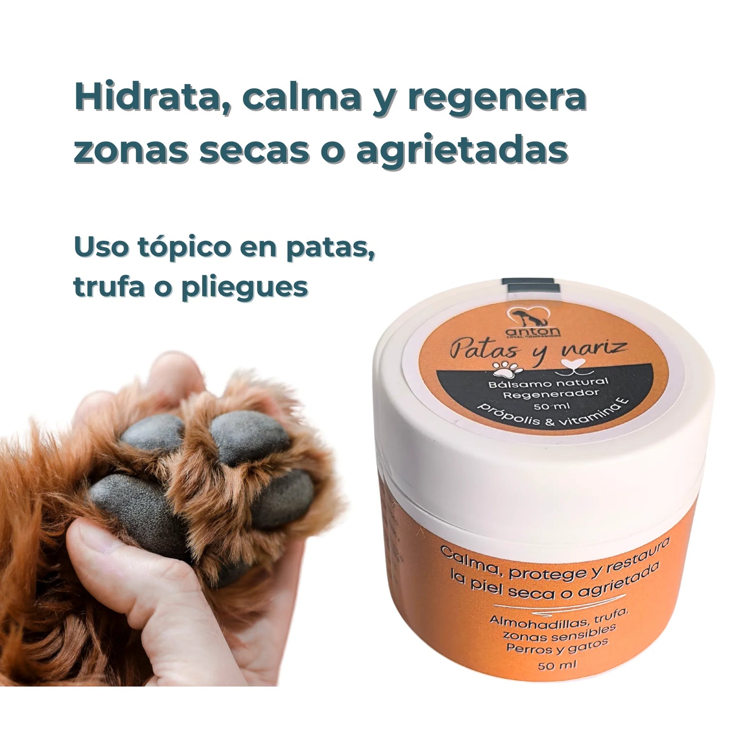 Pata de perro sobre mano humana y bálsamo regenerador ANTON para uso tópico en zonas sensibles