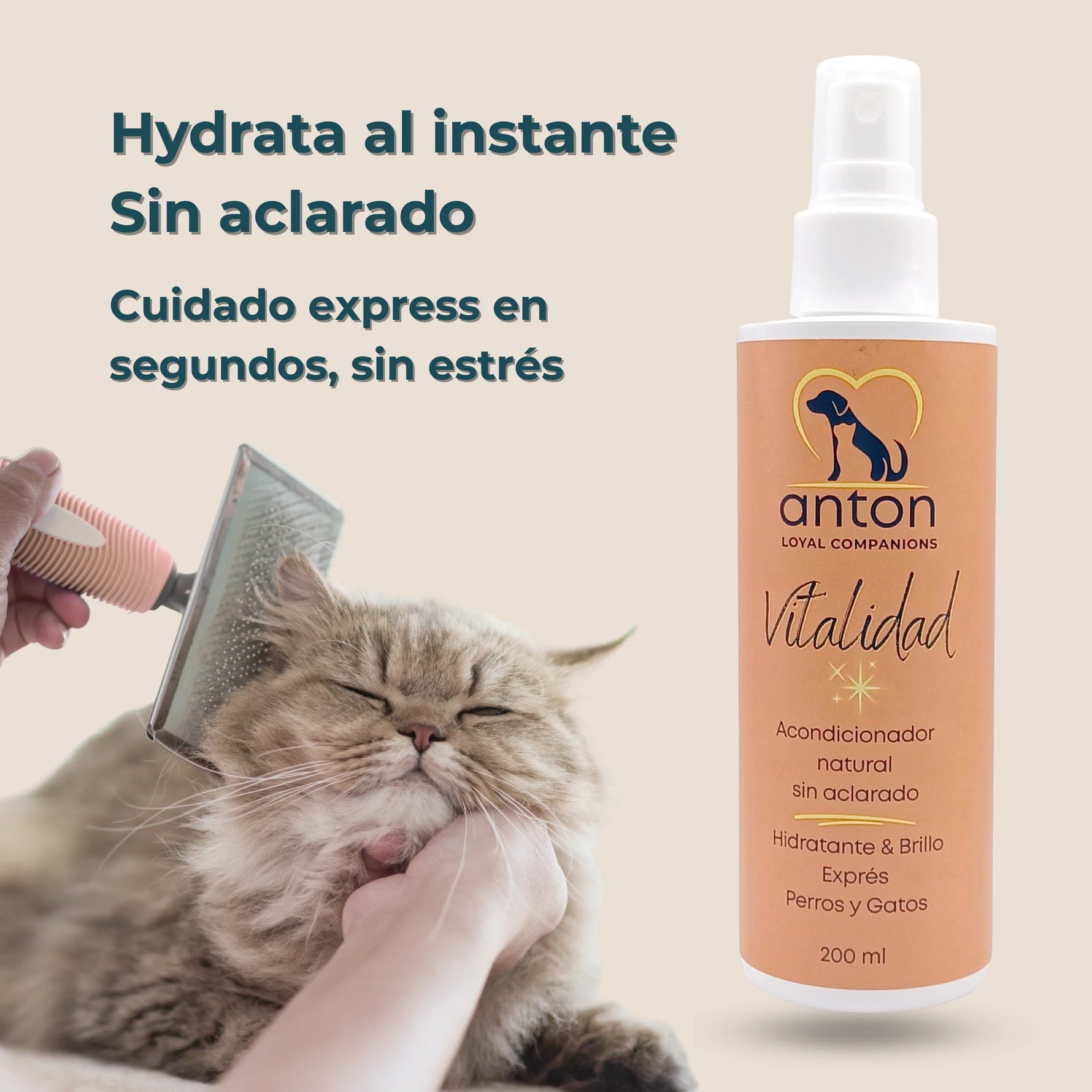 Gato siendo cepillado con acondicionador ANTON Vitalidad, hidratación exprés y cuidado sin estrés.