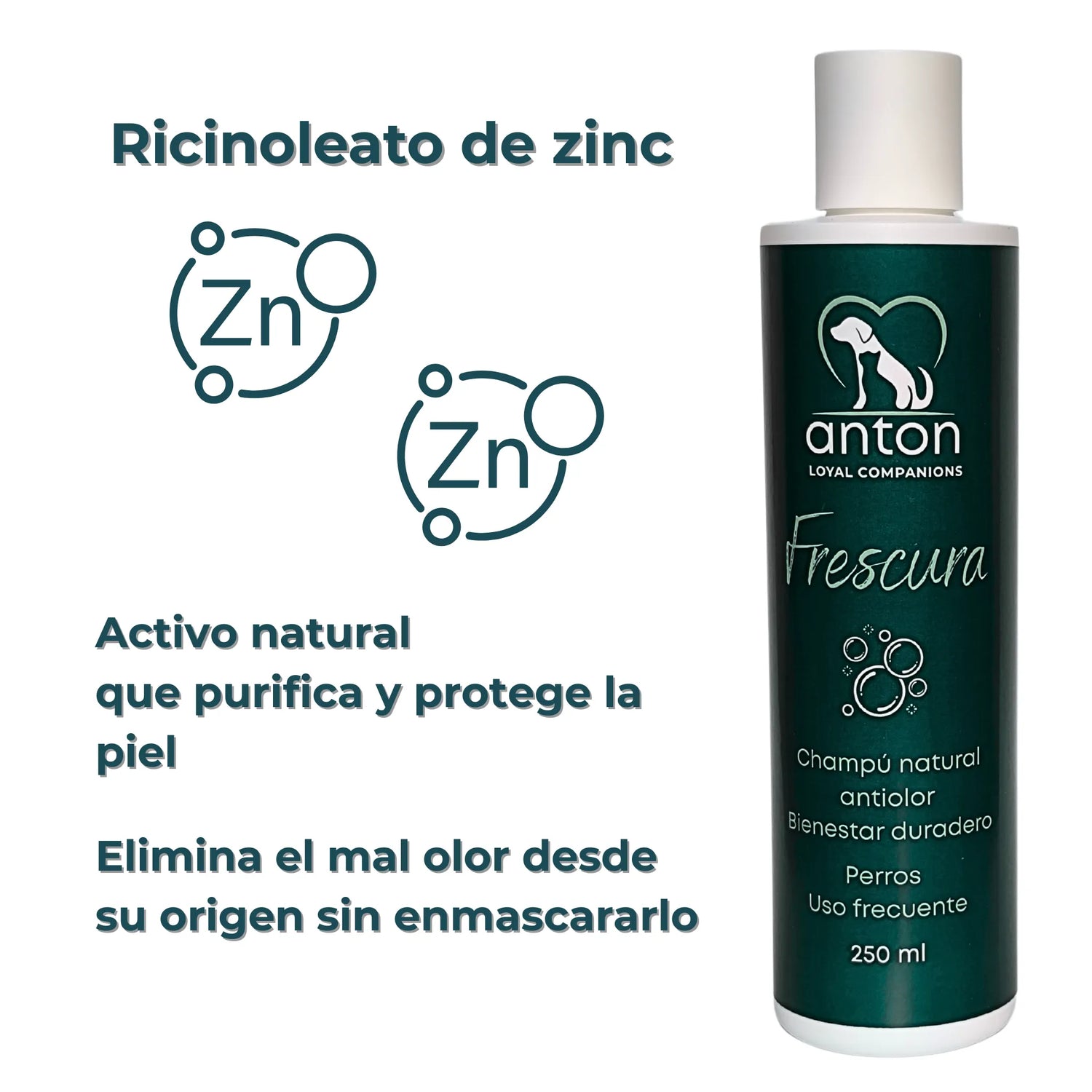 Propiedades purificantes del champú “Frescura” ANTON con zinc vegetal