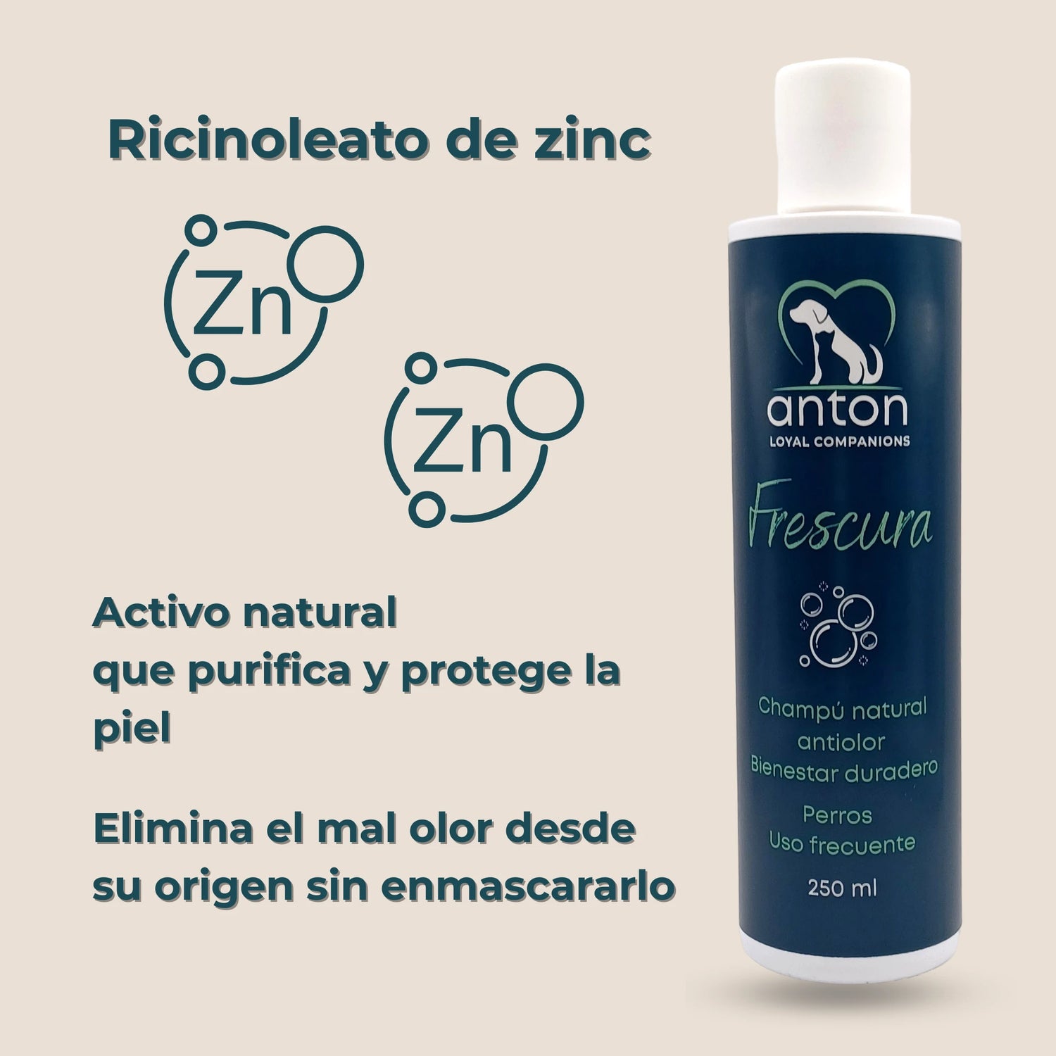 Fórmula del champú natural ANTON Frescura con ricinoleato de zinc, activo natural que purifica y protege la piel.