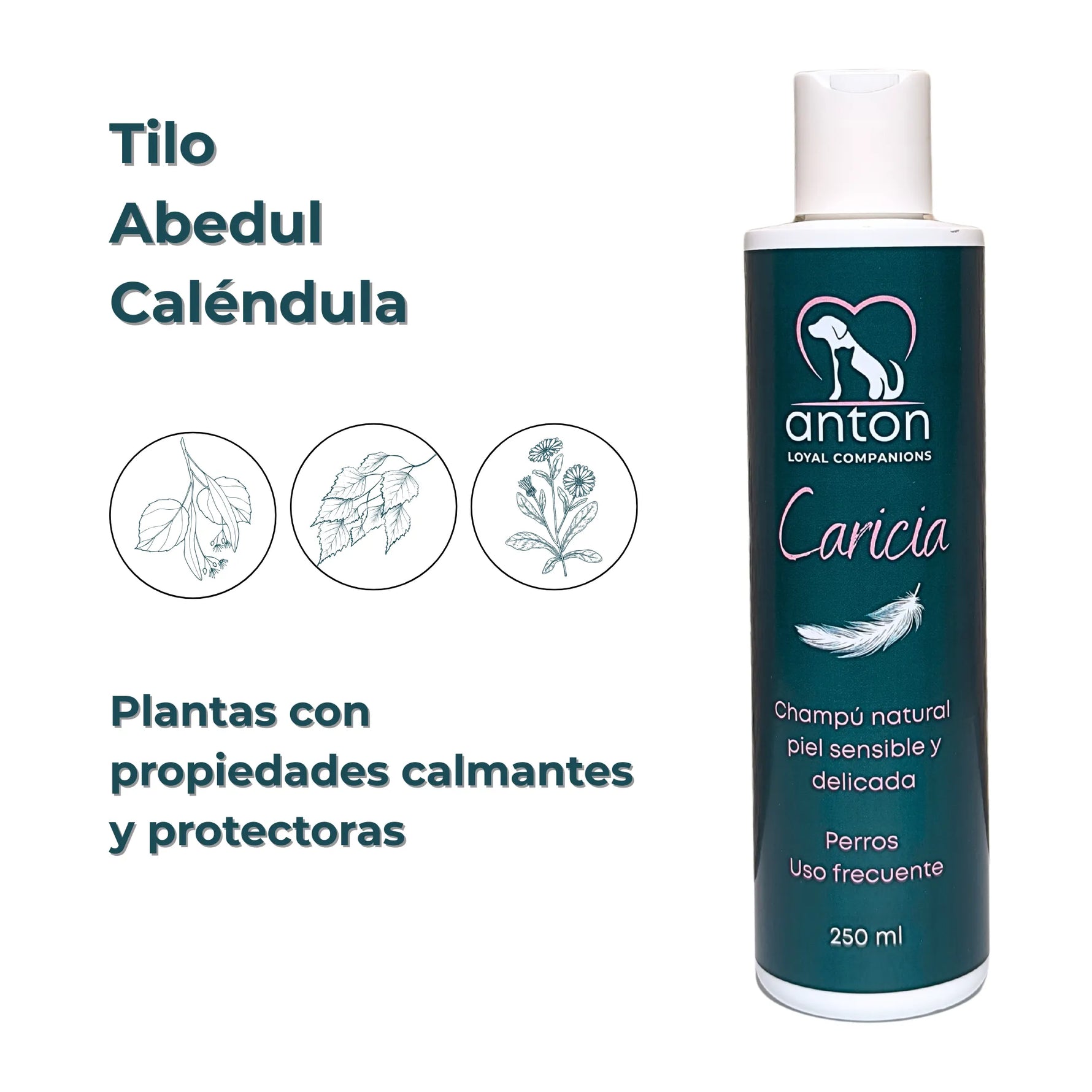 Champú “Caricia” ANTON con tilo, abedul y caléndula para perros con piel delicada