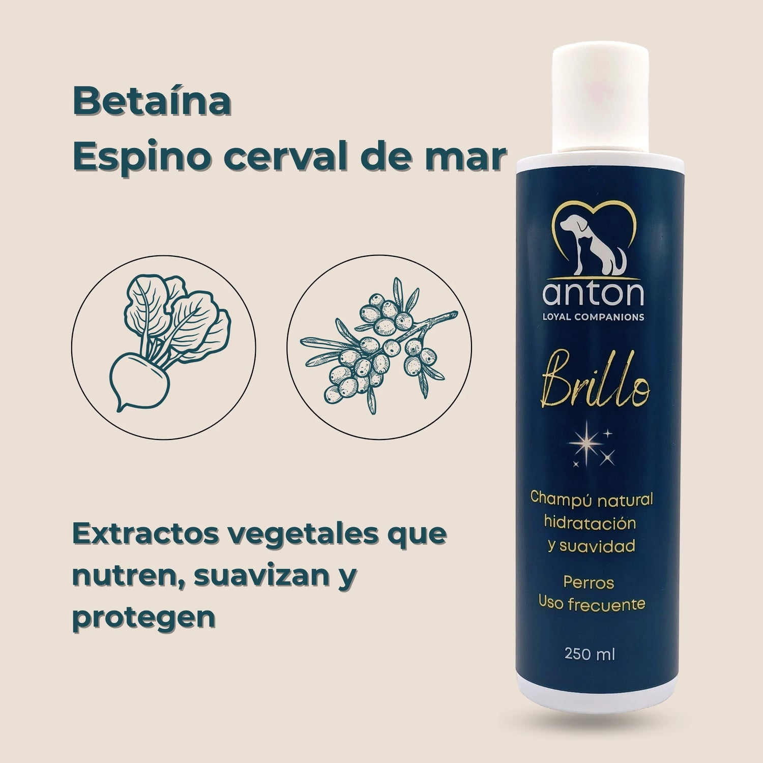 Extractos vegetales hidratantes del champú natural Brillo para perros: betaína y espino cerval de mar