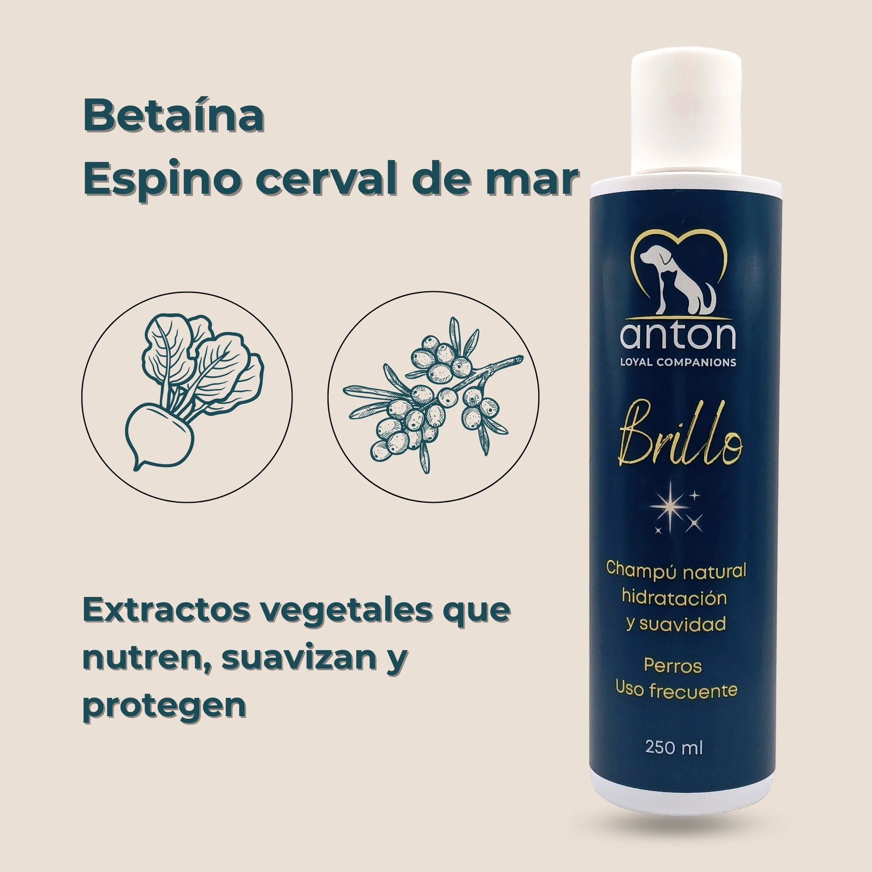 Extractos vegetales hidratantes del champú natural ANTON Loyal Companions Brillo para perros: betaína y espino cerval de mar