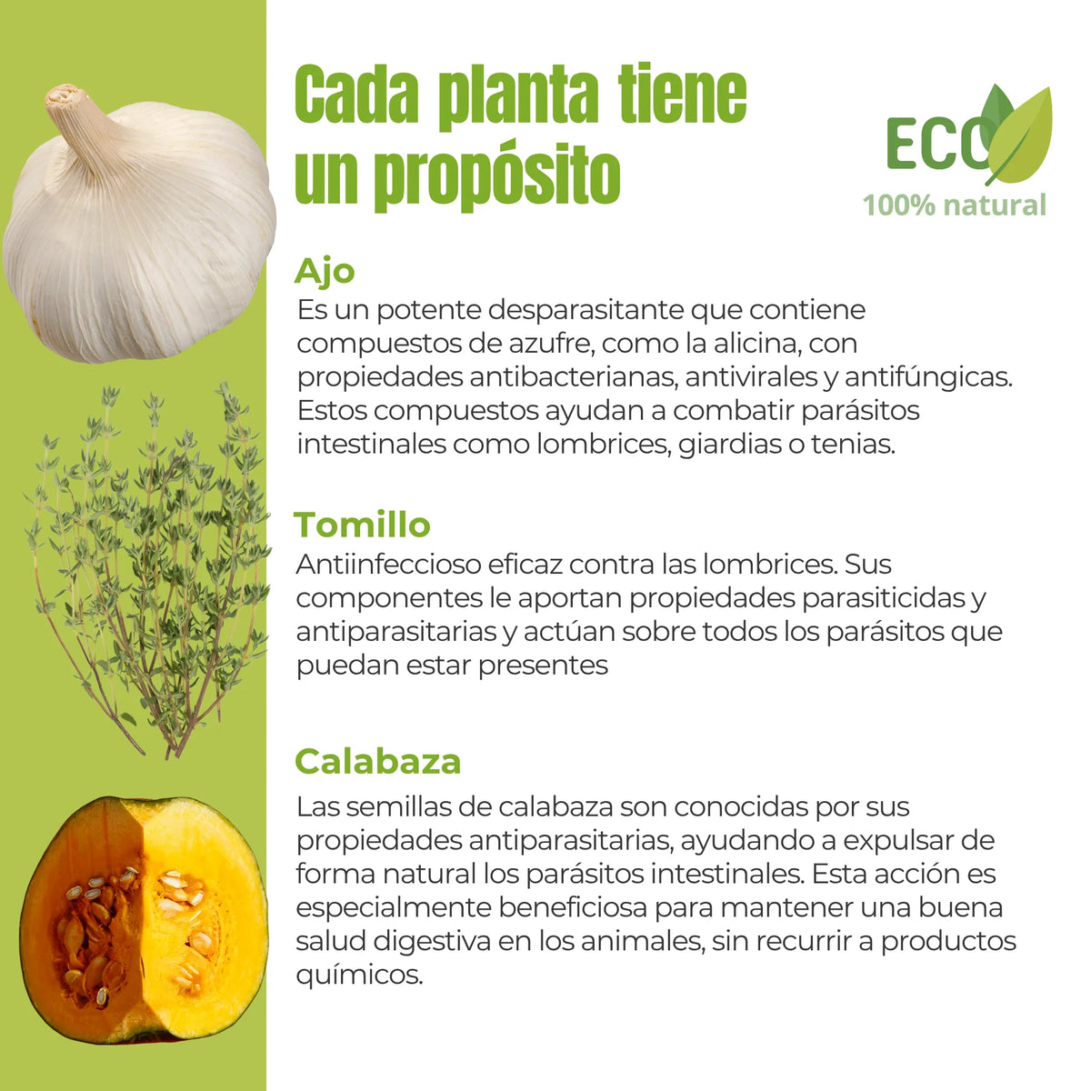 Ingredientes naturales ecológicos con acción antiparasitaria: ajo, tomillo y semillas de calabaza. Ayudan a proteger el sistema digestivo y a eliminar los parásitos intestinales sin químicos.