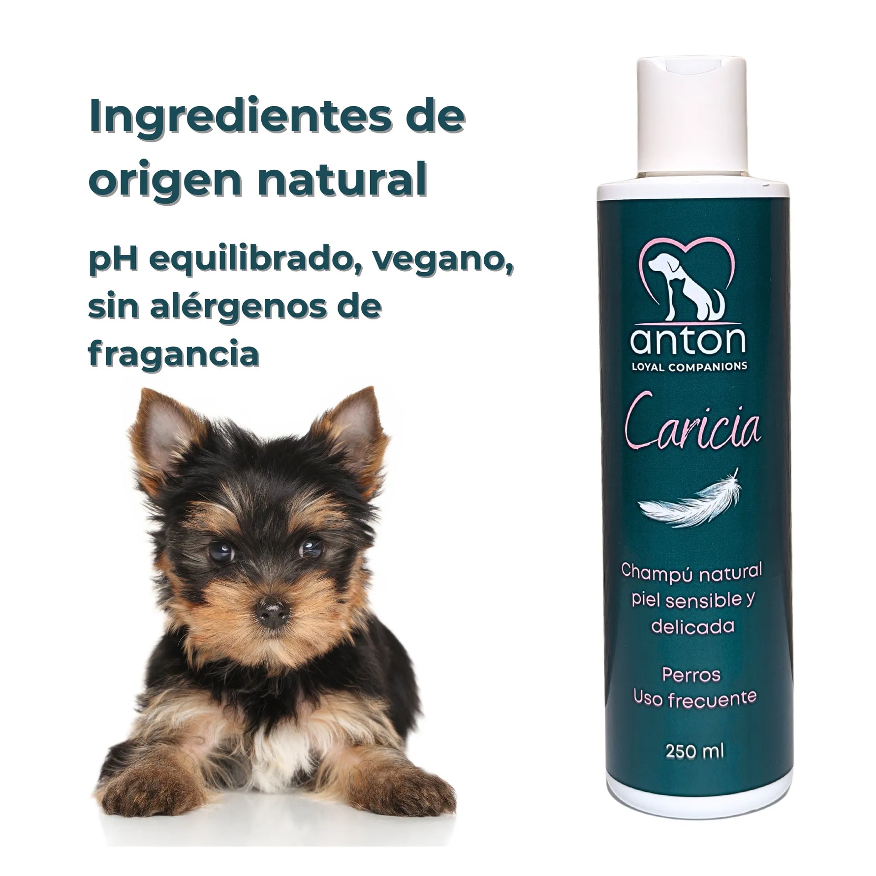 Champú natural para perros ANTON “Caricia” con cachorro y beneficios de fórmula sin alérgenos
