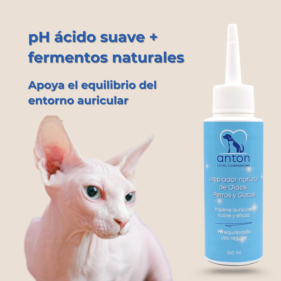 Gato sphynx junto al limpiador natural de oídos con pH equilibrado y fermentos calmantes
