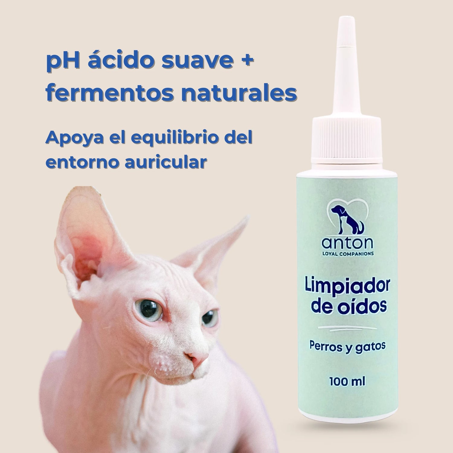 Gato sphynx junto al limpiador de oídos ANTON Loyal Companions con texto sobre pH ácido suave y fermentos naturales.
