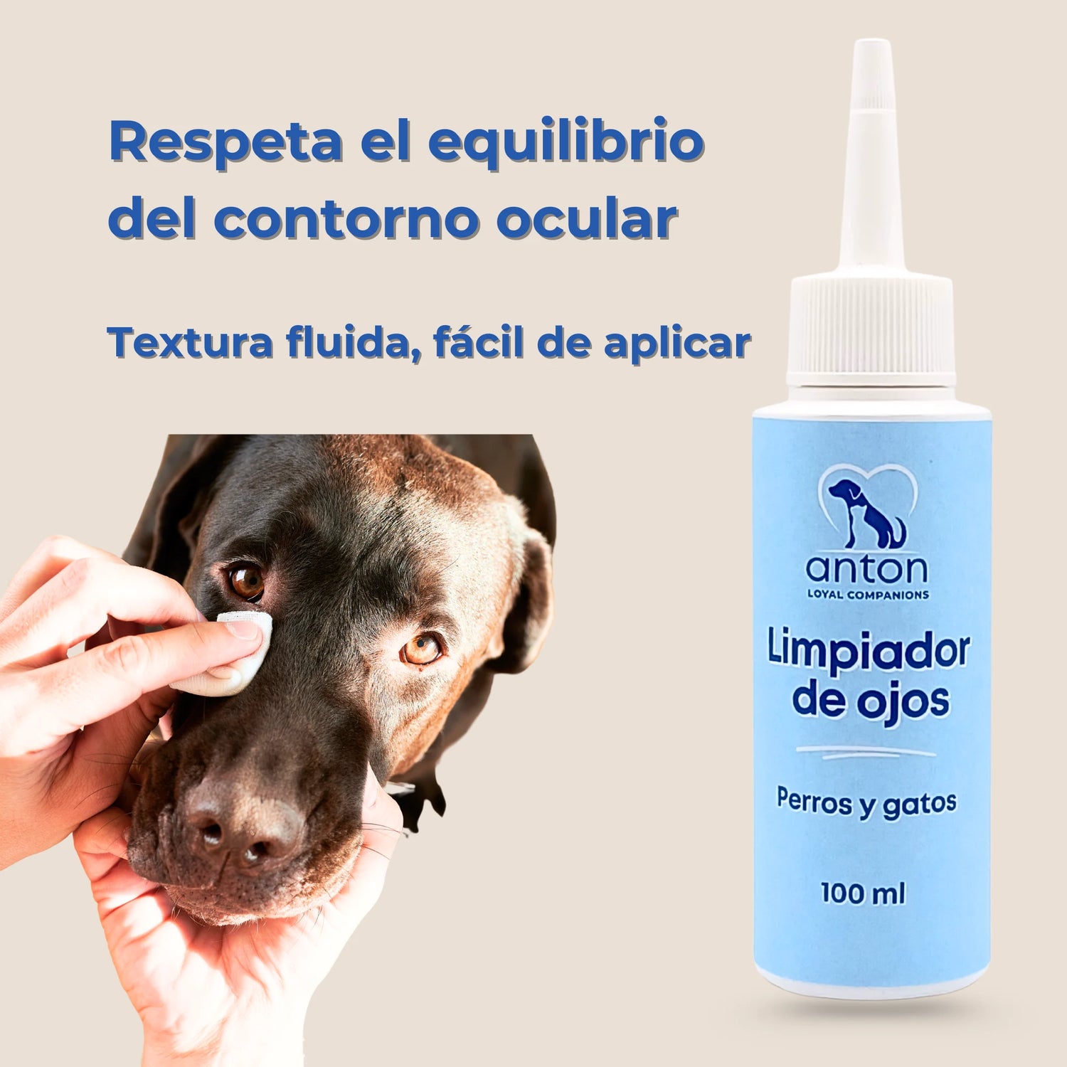 Aplicación de limpiador de ojos Anton Loyal Companions en perro, textura fluida y fácil de aplicar, cuidado suave que respeta el equilibrio del contorno ocular en perros y gatos.
