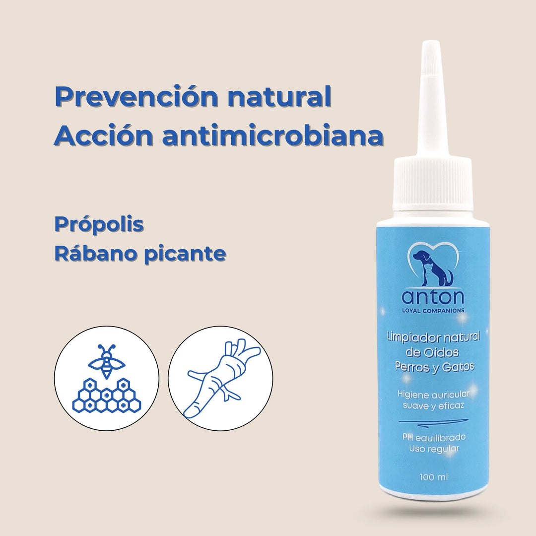 Ingredientes del limpiador auricular con própolis y rábano picante para higiene de oídos