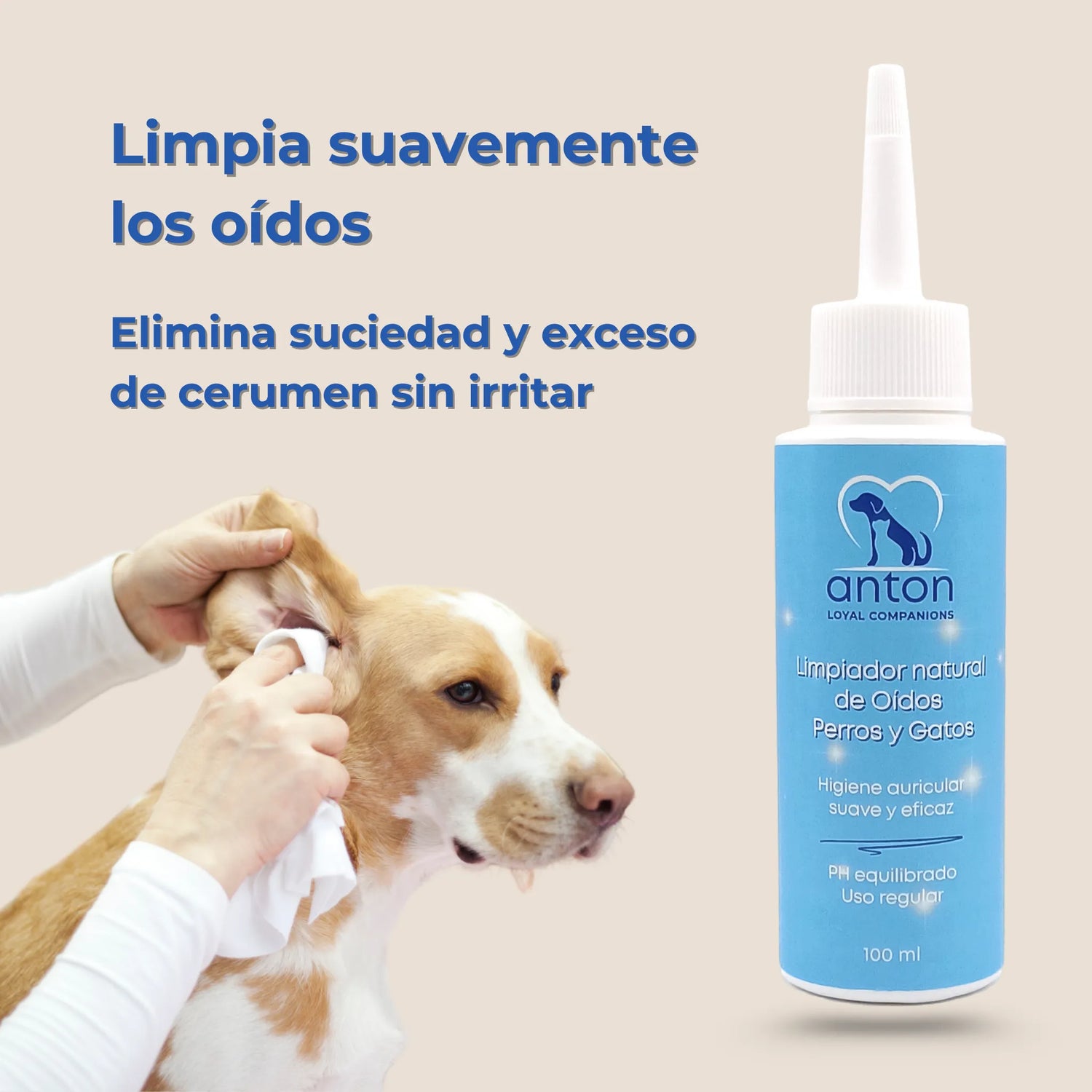Aplicación del limpiador de oídos ANTON Loyal Companions en perro para retirar cerumen y suciedad sin irritar