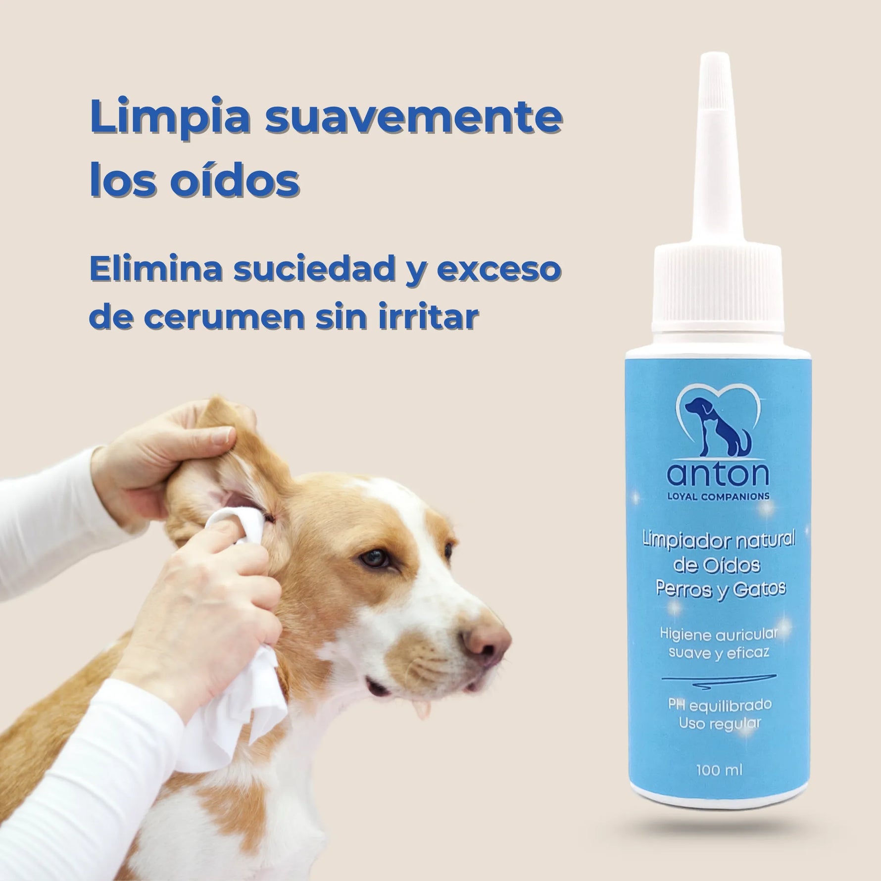 Aplicación del limpiador de oídos ANTON Loyal Companions en perro para retirar cerumen y suciedad sin irritar