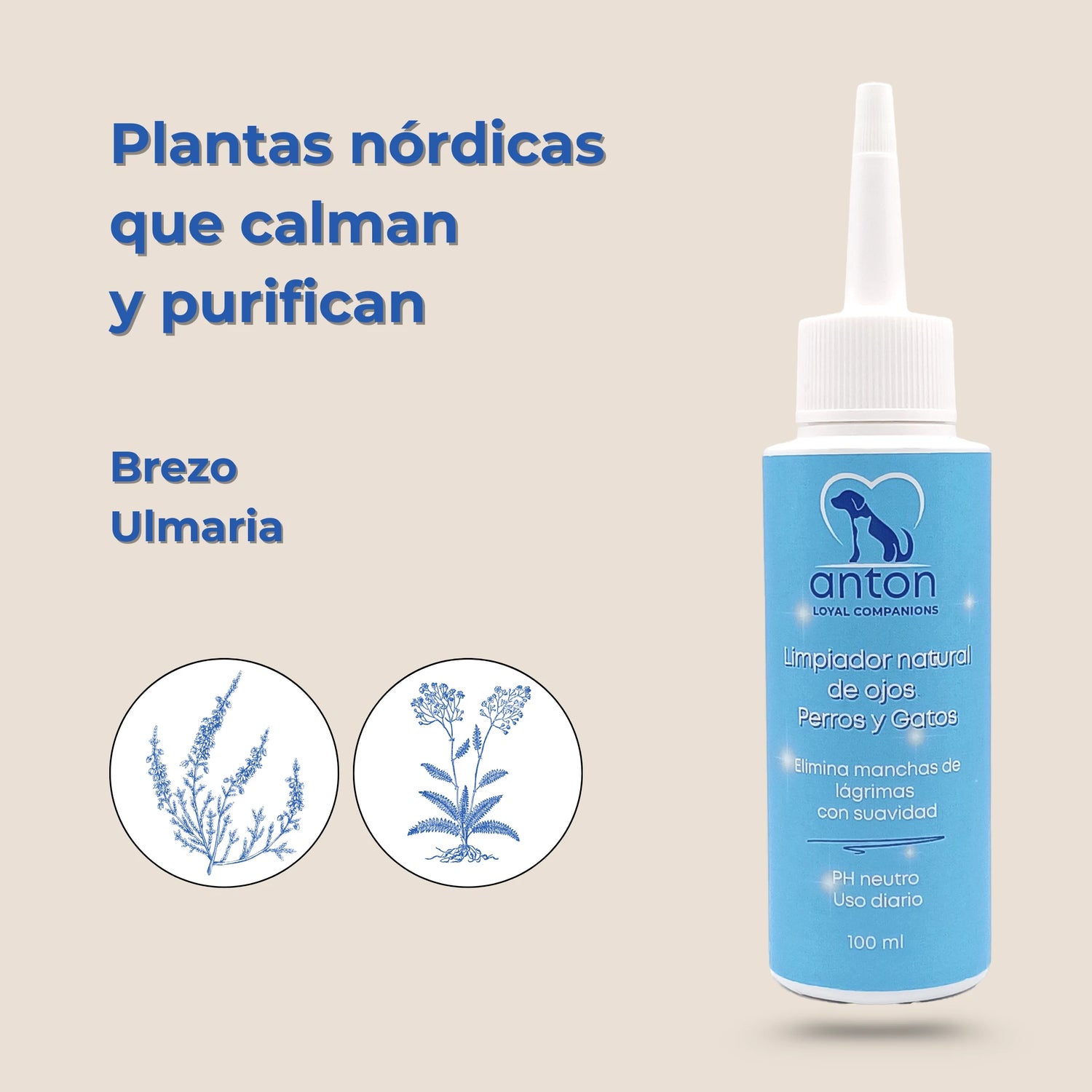 Brezo y ulmaria, ingredientes naturales del limpiador de ojos ANTON Loyal Companions que calman y purifican