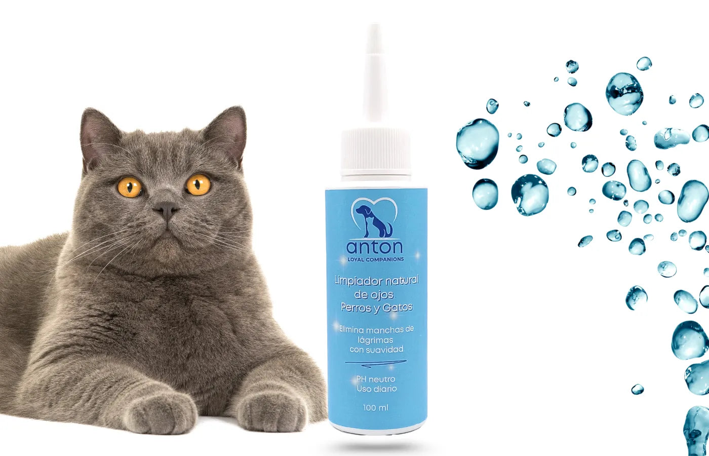 Gato junto al limpiador natural de ojos ANTON, elimina manchas de lágrimas con suavidad