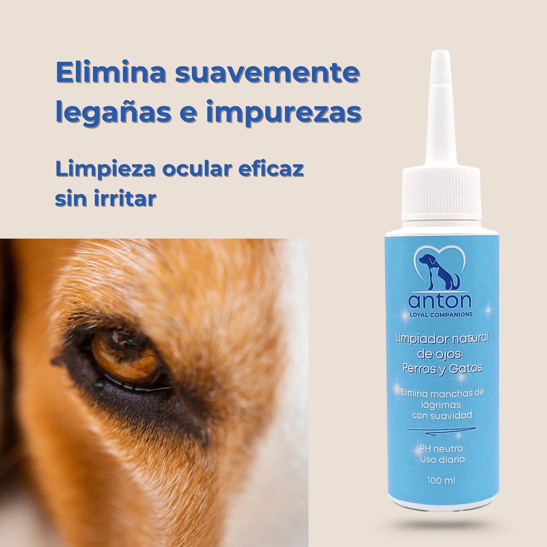 Aplicación del limpiador de ojos ANTON Loyal Companions en perro para retirar legañas e impurezas sin irritar