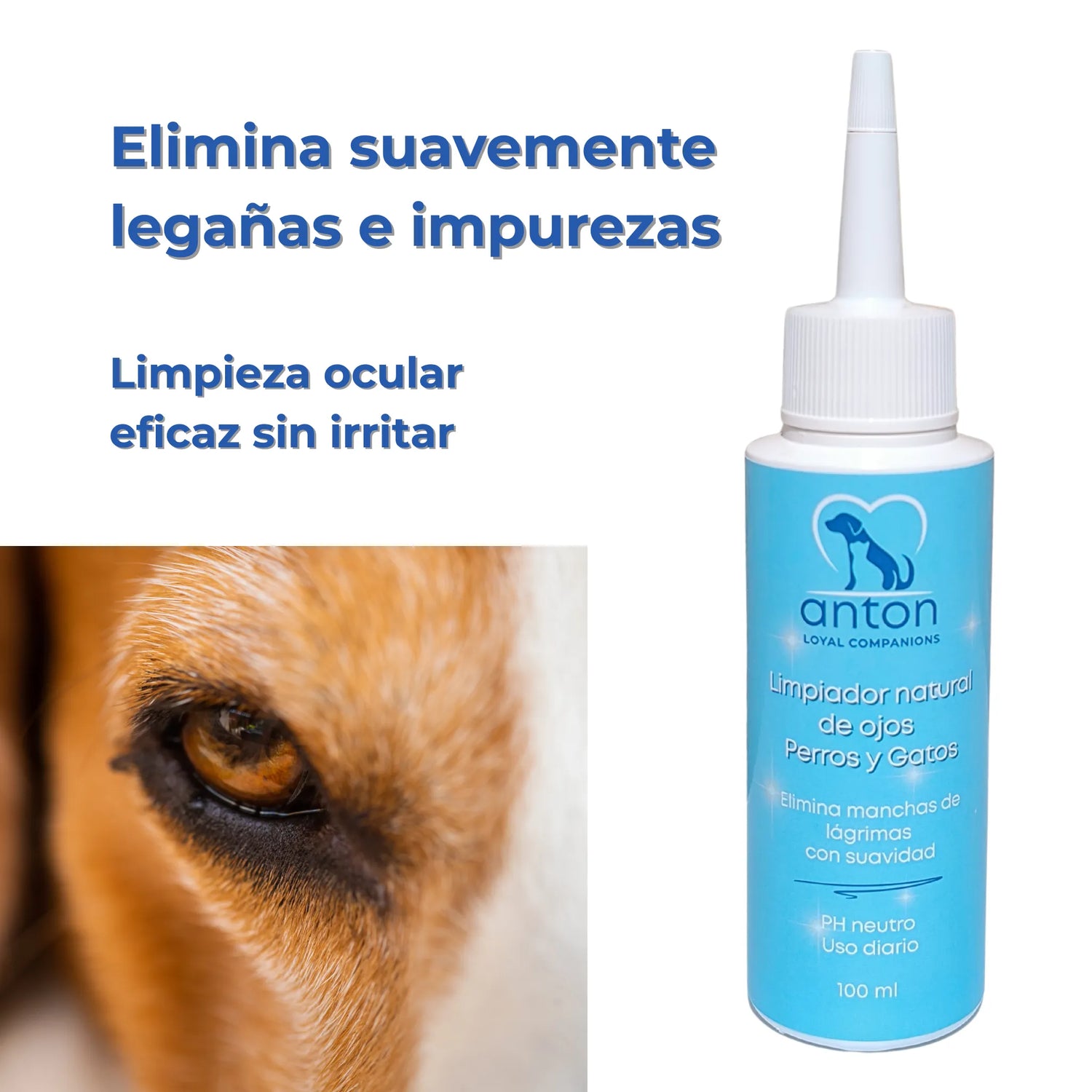 Limpia suavemente legañas e impurezas sin irritar, frasco ANTON junto a ojo de perro