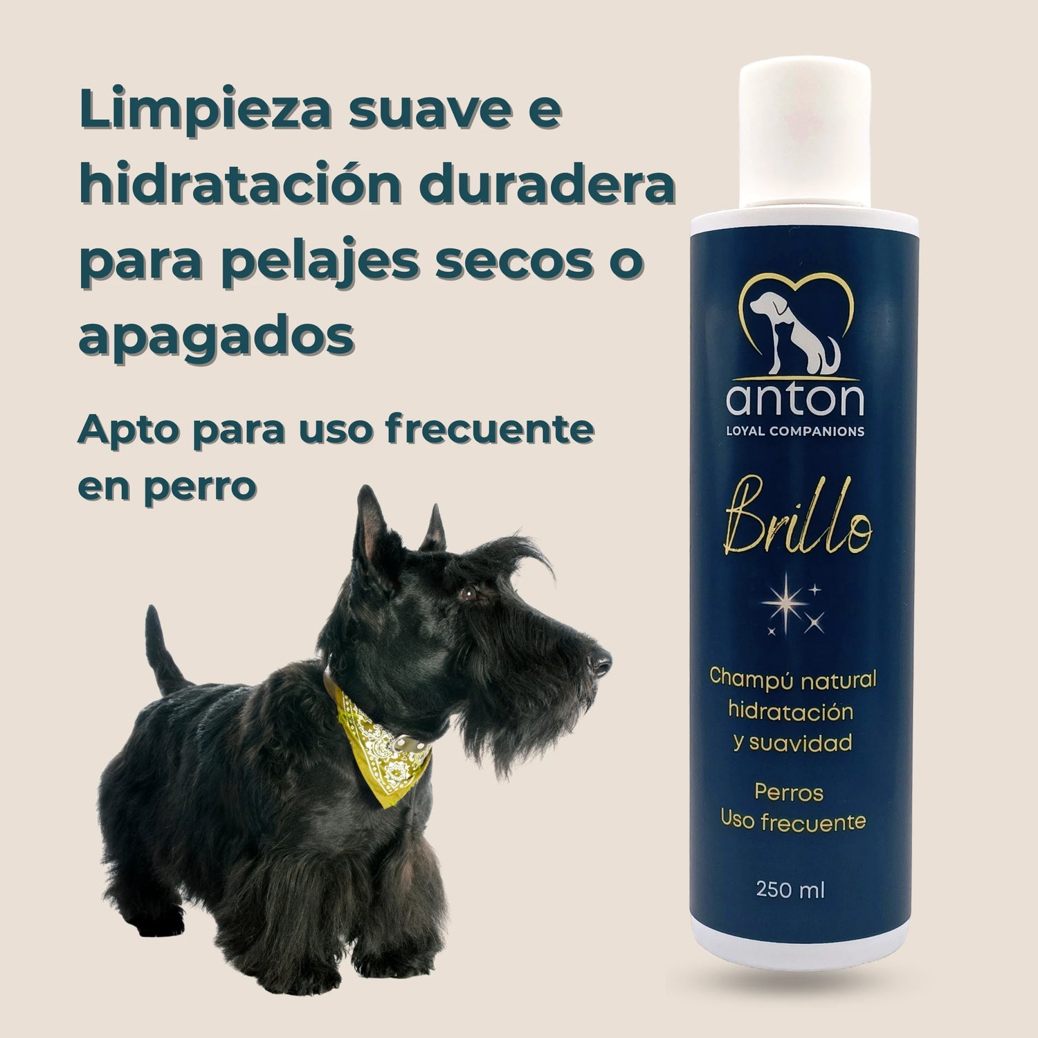 Perro negro junto al champú natural ANTON Brillo, limpieza suave e hidratación duradera para pelajes secos.