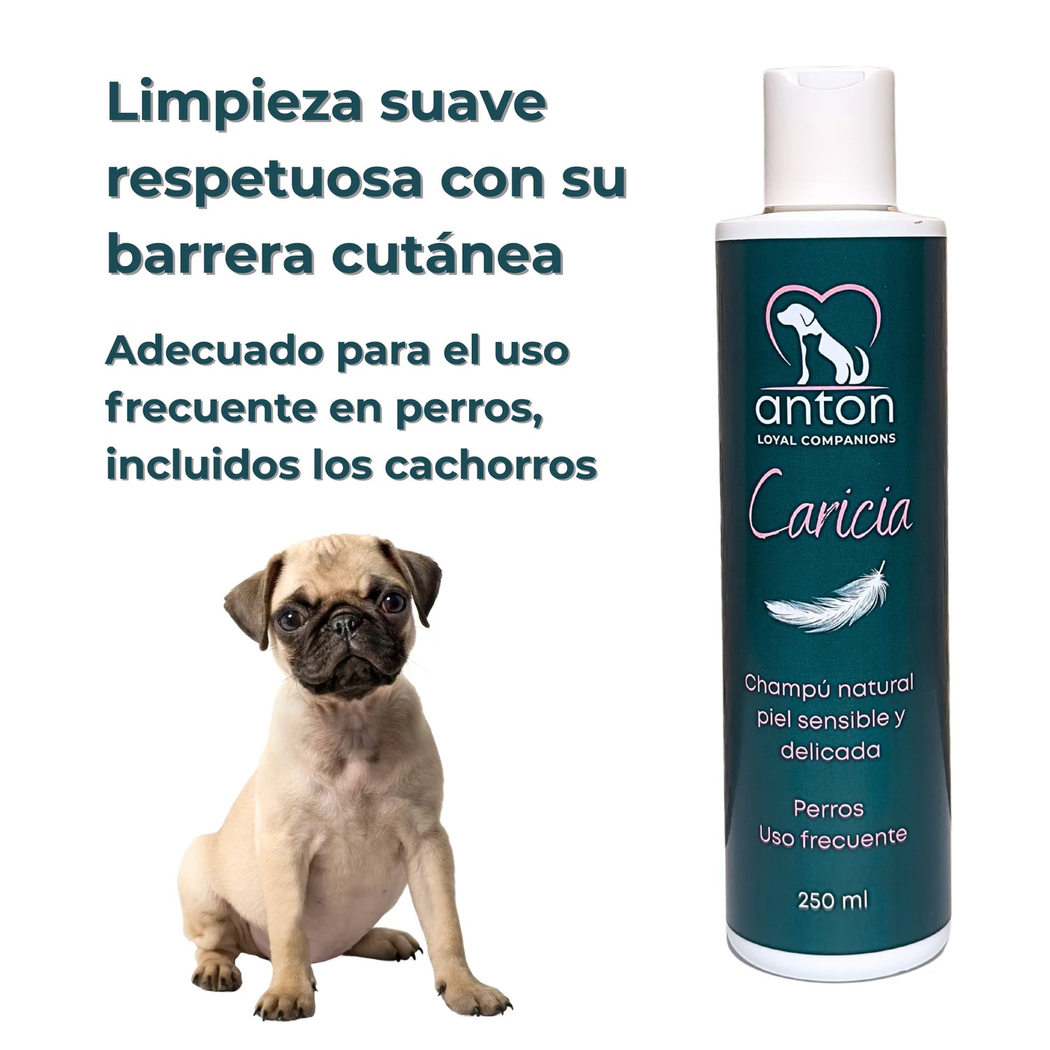 Champú “Caricia” ANTON para perros con texto sobre limpieza suave y un cachorro carlino