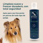 Perro Collie junto al champú natural ANTON Frescura, limpieza suave y frescor prolongado para todo tipo de pelajes.
