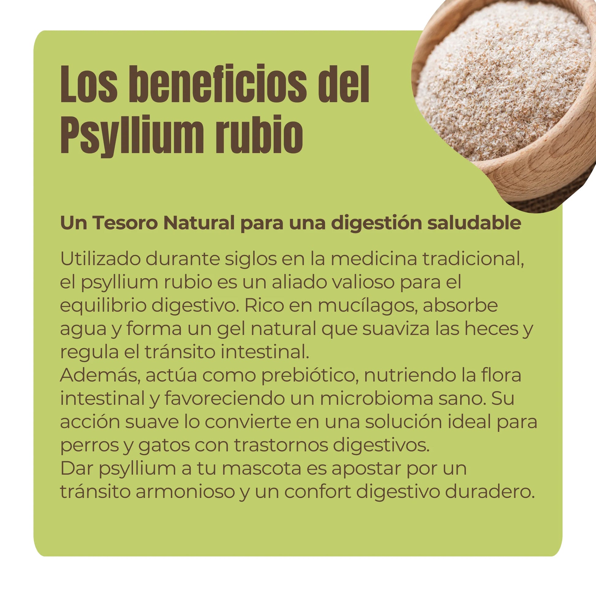 Rico en mucílagos y con efecto prebiótico, el psyllium rubio actúa como regulador intestinal suave. En perros y gatos, suaviza las heces, mejora la hidratación intestinal y favorece una microbiota equilibrada. Ideal para problemas de tránsito o sensibilidad digestiva.