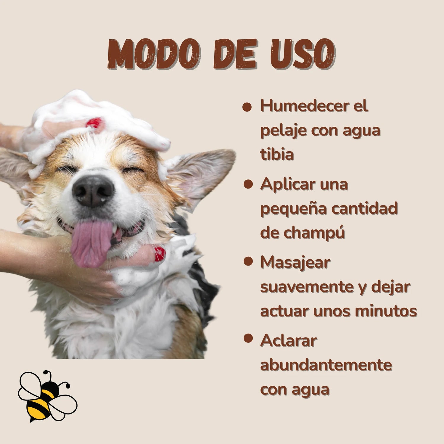Instrucciones de uso del champú natural Bee It para perros y gatos, aplicación y aclarado