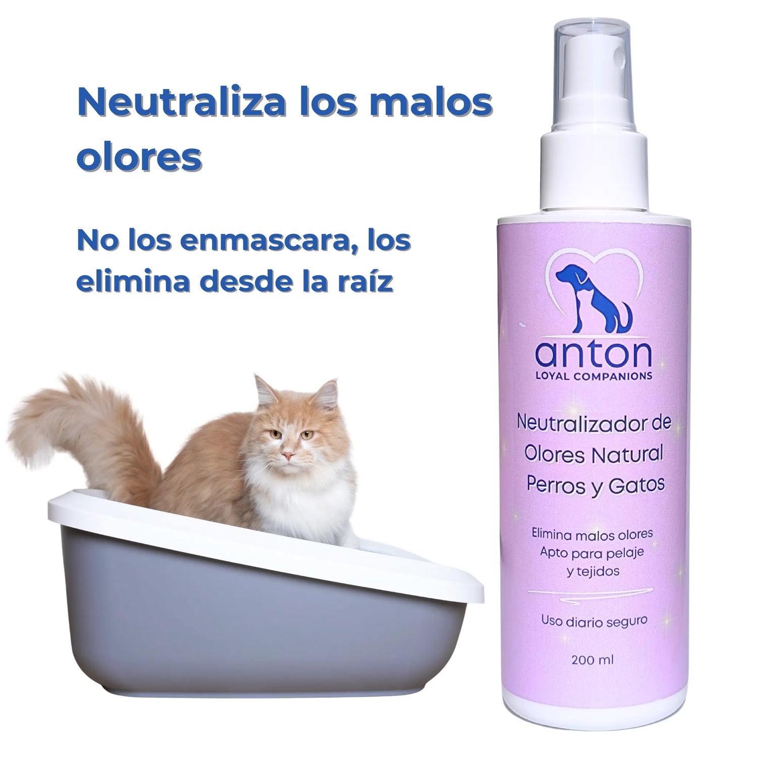 Gato en su arenero junto al spray neutralizador de olores de ANTON, que elimina los malos olores de raíz