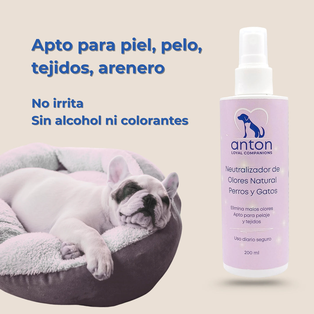 Perro descansando en su cama junto al spray neutralizador de olores sin alcohol ni colorantes