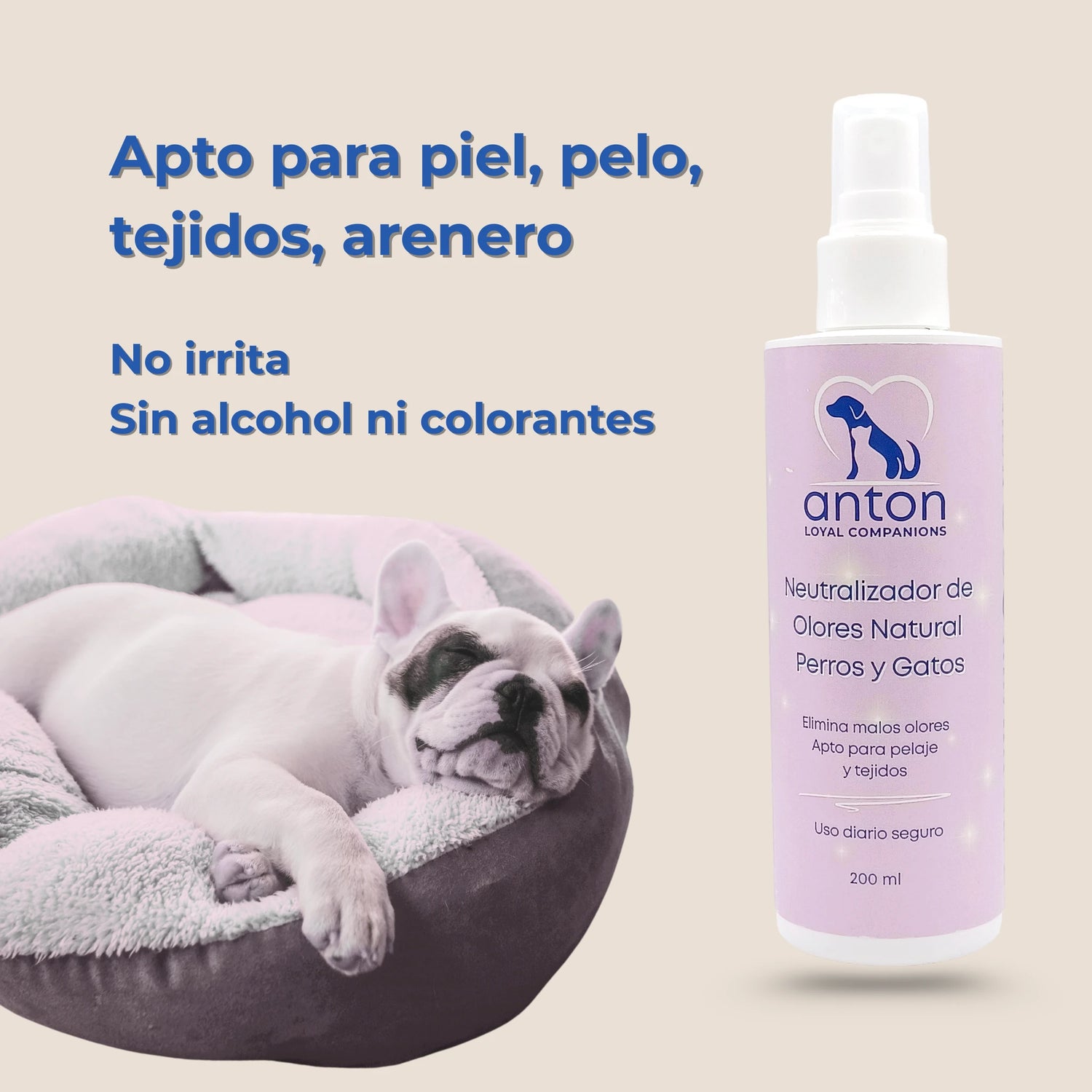 Perro descansando en su cama junto al spray neutralizador de olores ANTON Loyal Companions sin alcohol ni colorantes