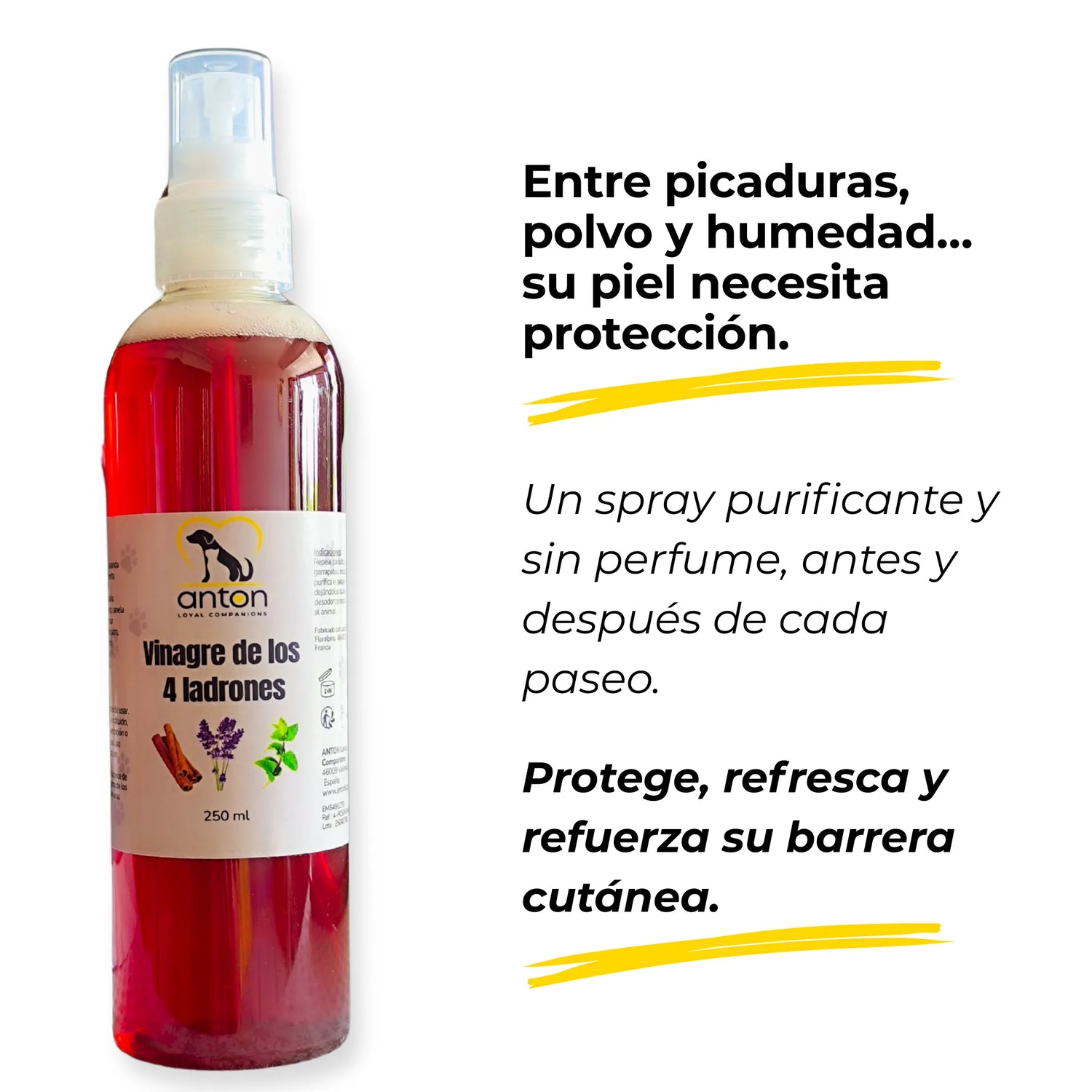 Pack Bienestar Verano – Serenidad, Digestión y Protección natural_Perros y gatos_Anton loyal Companions