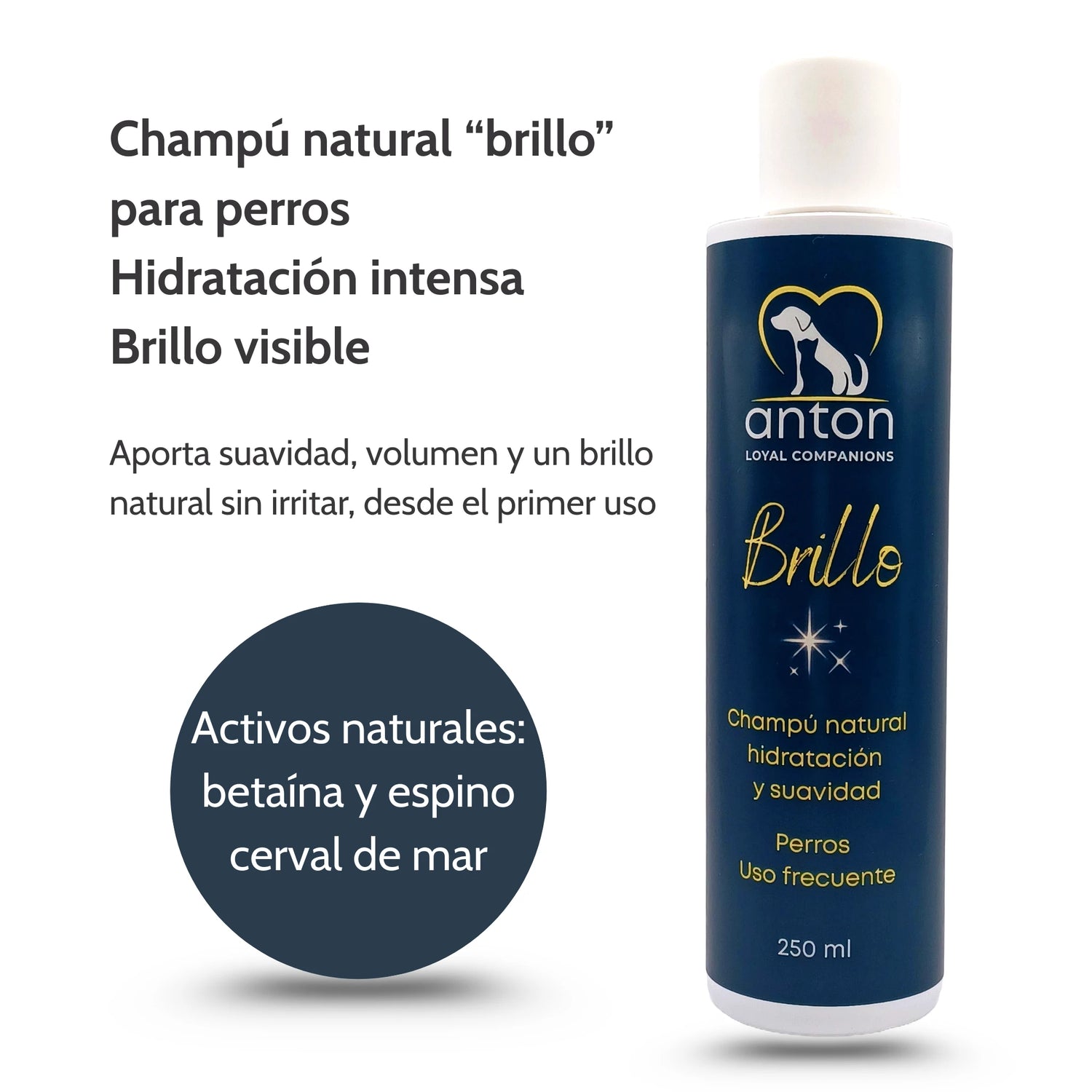 Lote Brillo y Suavidad – Ritual Natural para un Pelaje Radiante_Perros y gatos_Anton Loyal Companions