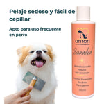 Cepillado de un perro pequeño con pelaje blanco tras uso del acondicionador “Suavidad” de ANTON