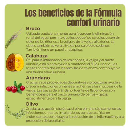 Descripción de los ingredientes naturales de la Fórmula Confort Urinario: brezo, calabaza, arándano y olivo, con beneficios para riñones y vejiga