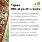 Imagen de colmena y propóleo utilizada para explicar el origen natural del Propóleo ECO y su relación con las defensas y la protección natural en perros y gatos.