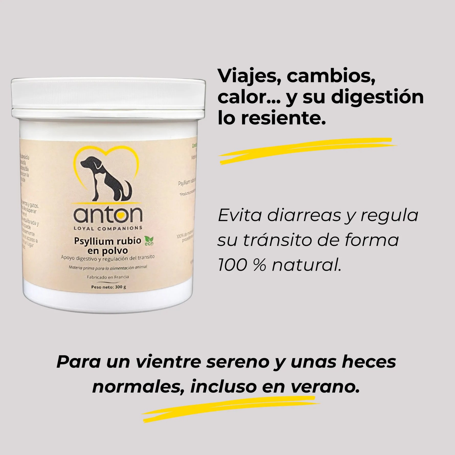 Suplemento ANTON psyllium rubio en polvo 100% ecológico, regula el tránsito y evita diarreas de forma natural en perros y gatos